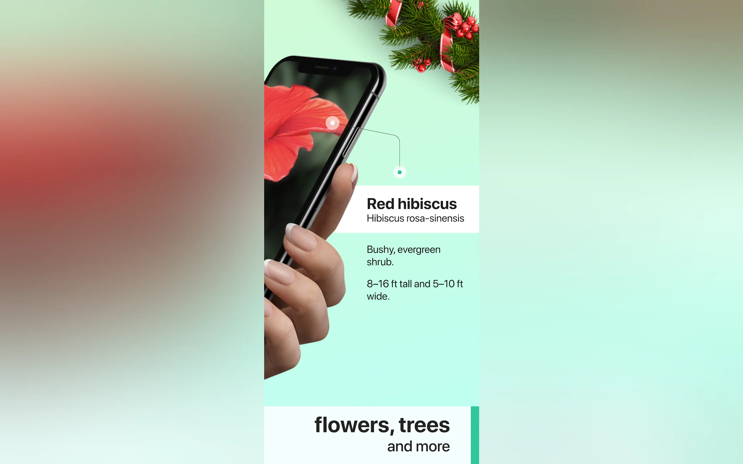 PictureThis gallery image