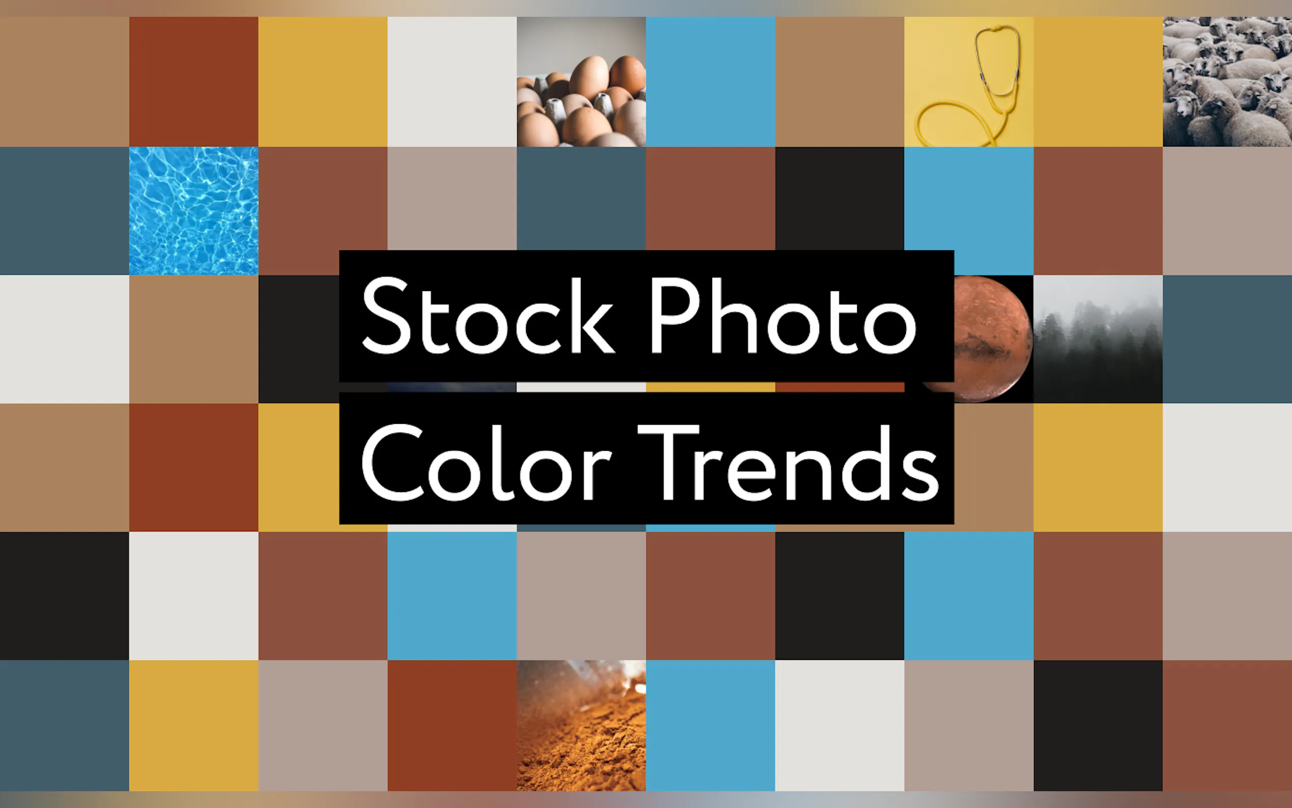 Everypixel gallery image