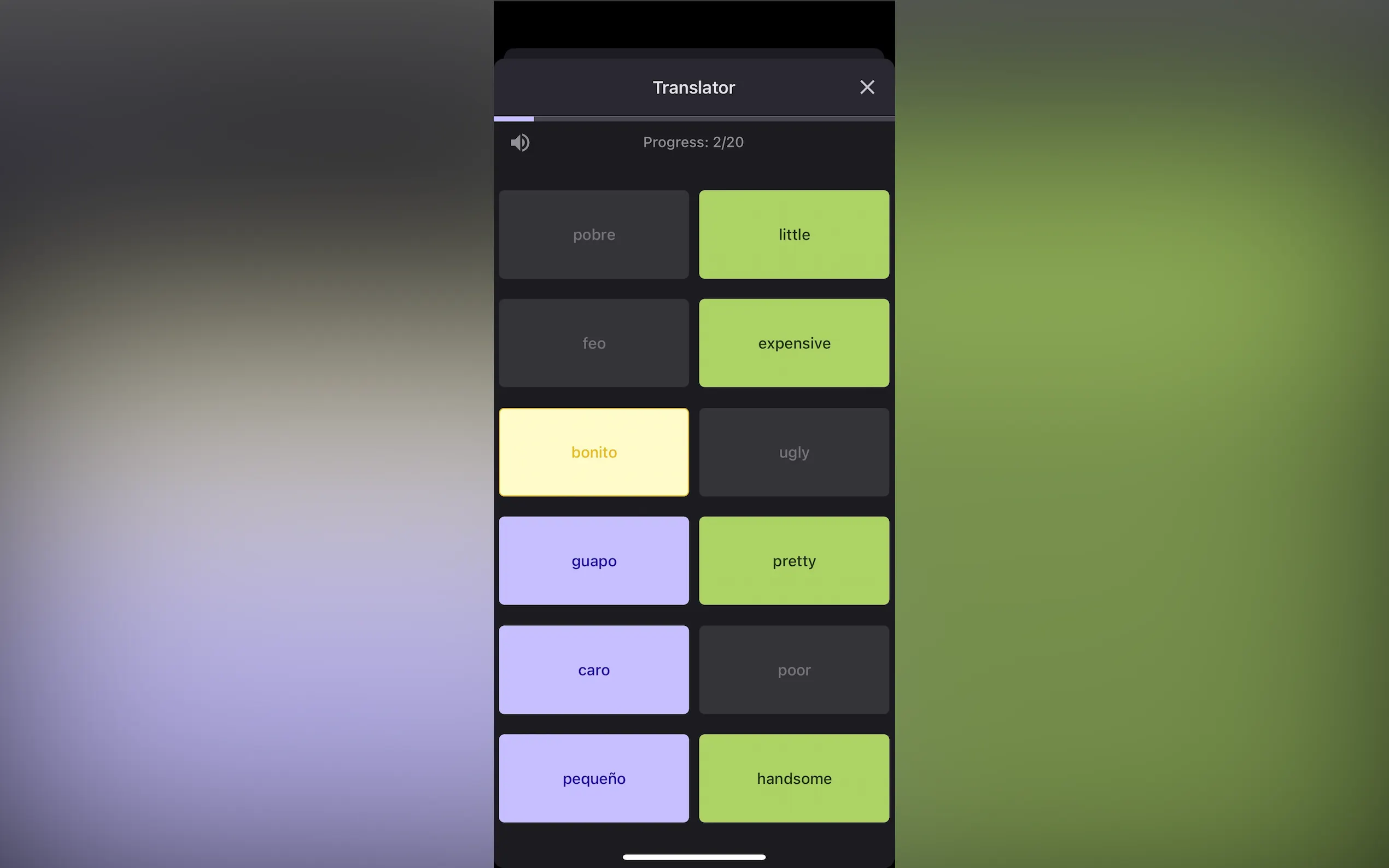 LexiGym gallery image