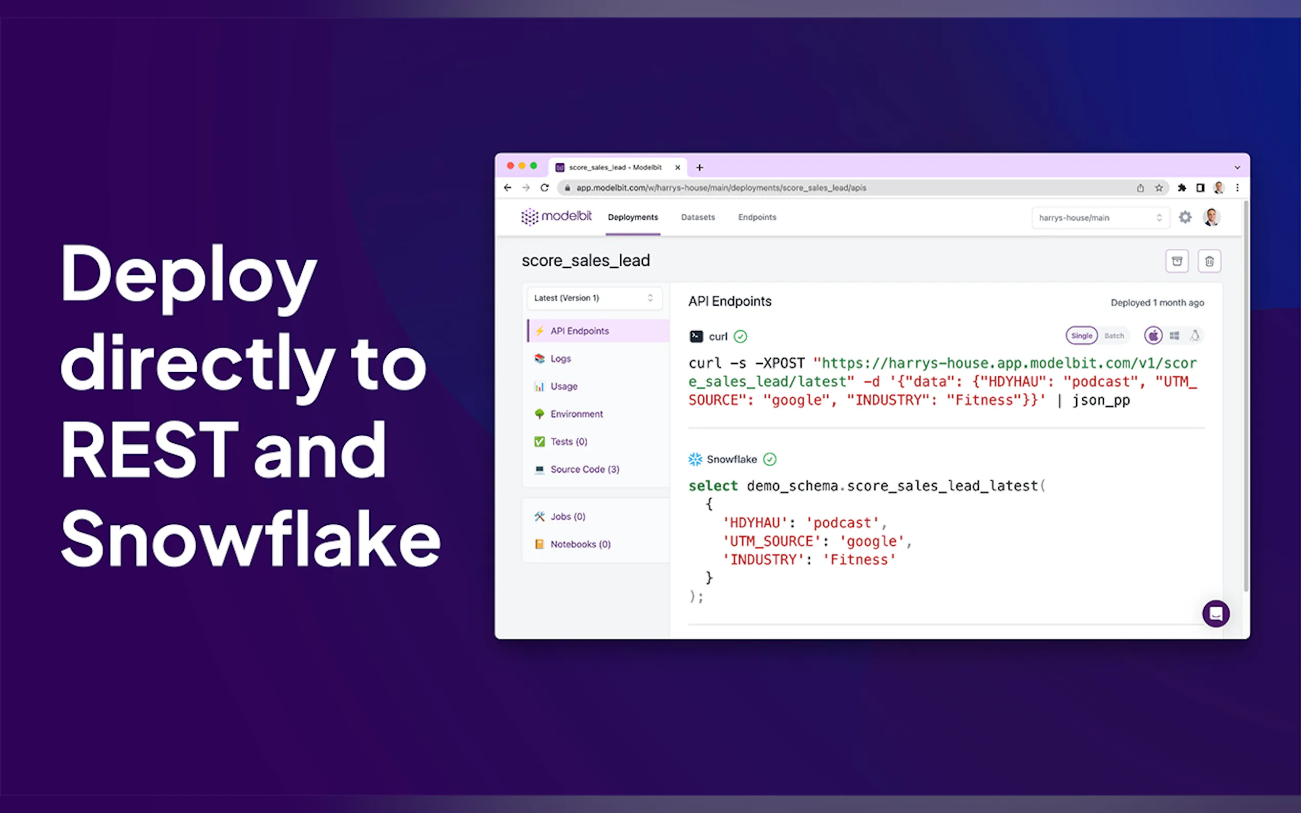 Modelbit gallery image