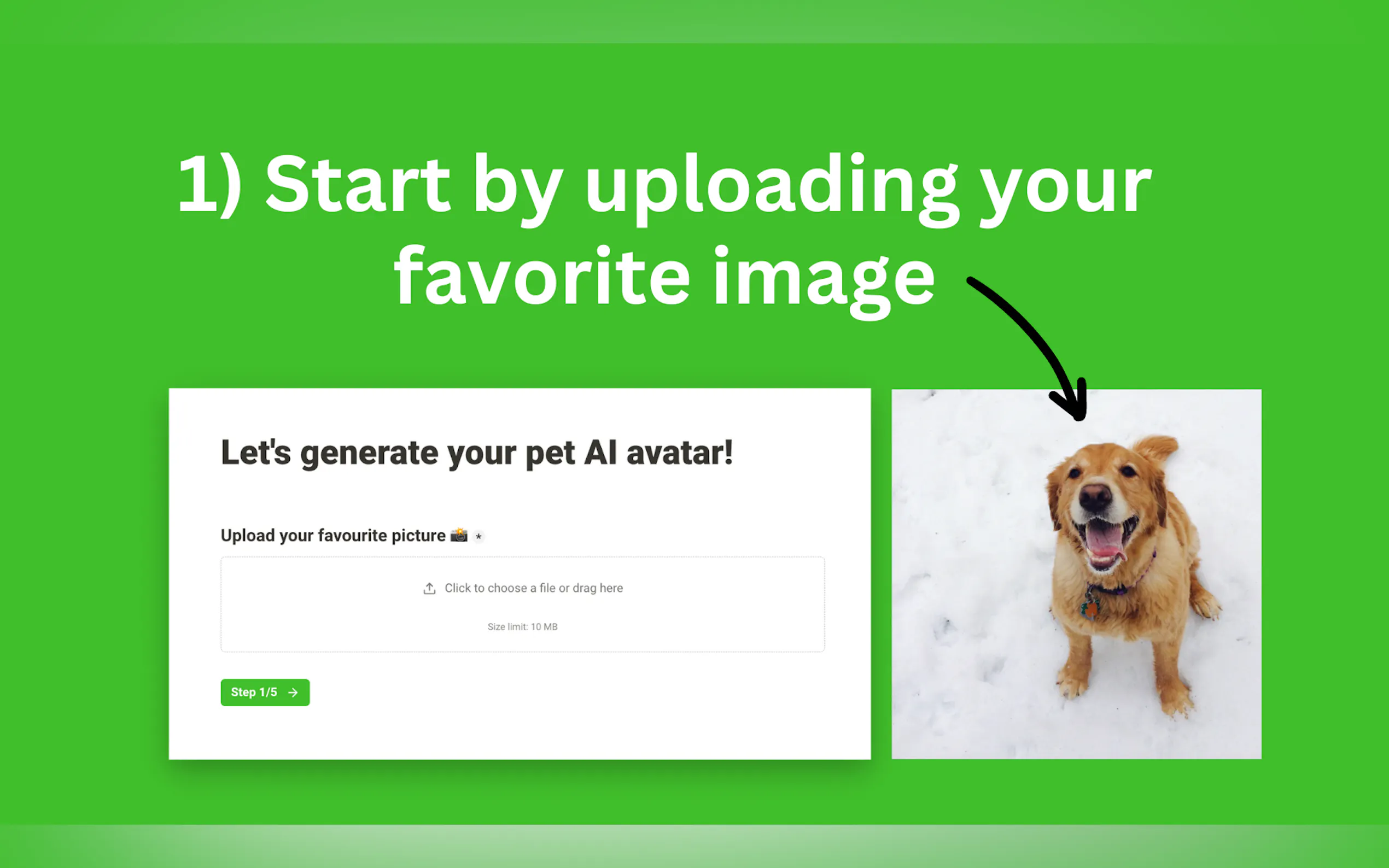 AI Pet Avatar gallery image