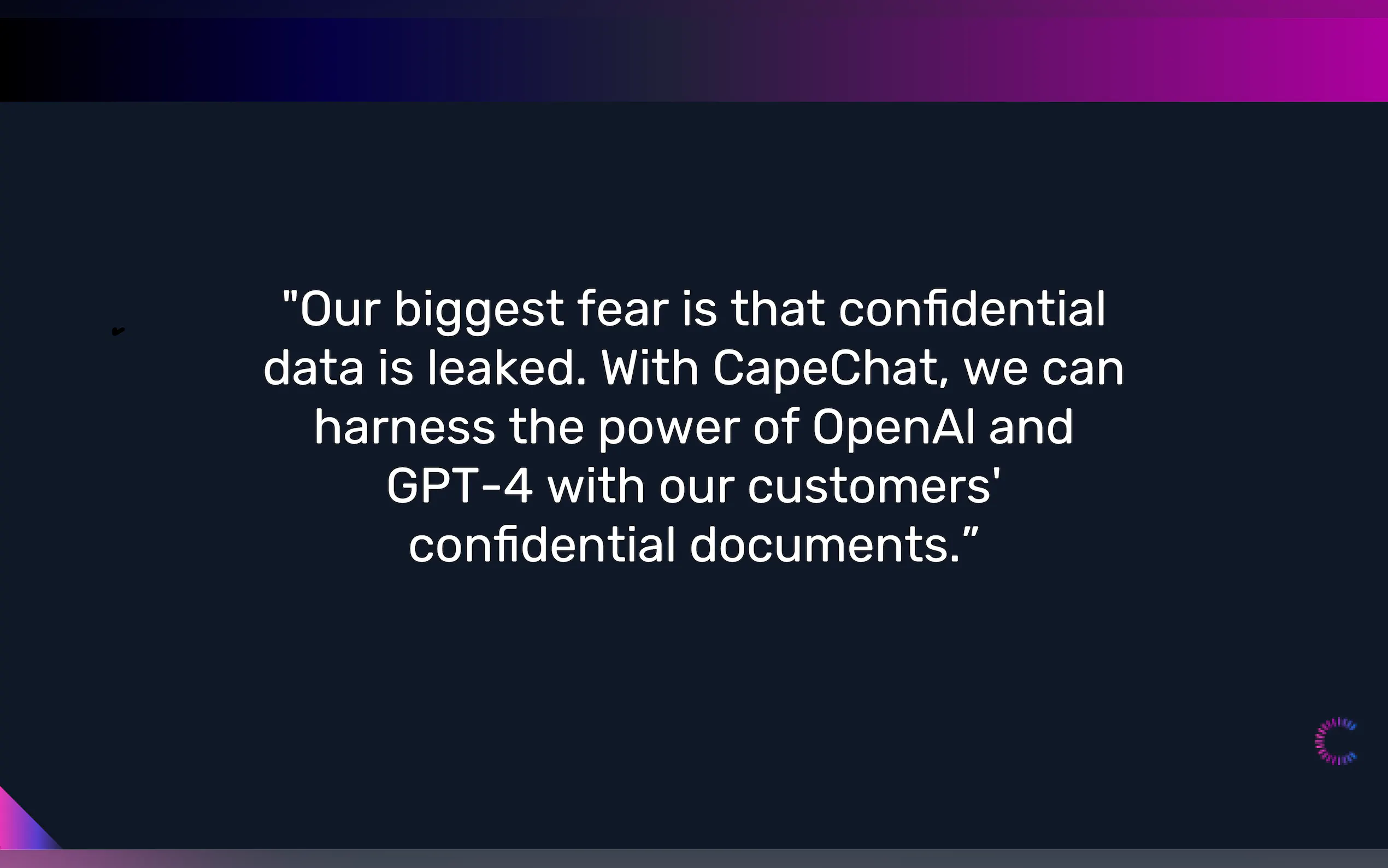 CapeChat gallery image