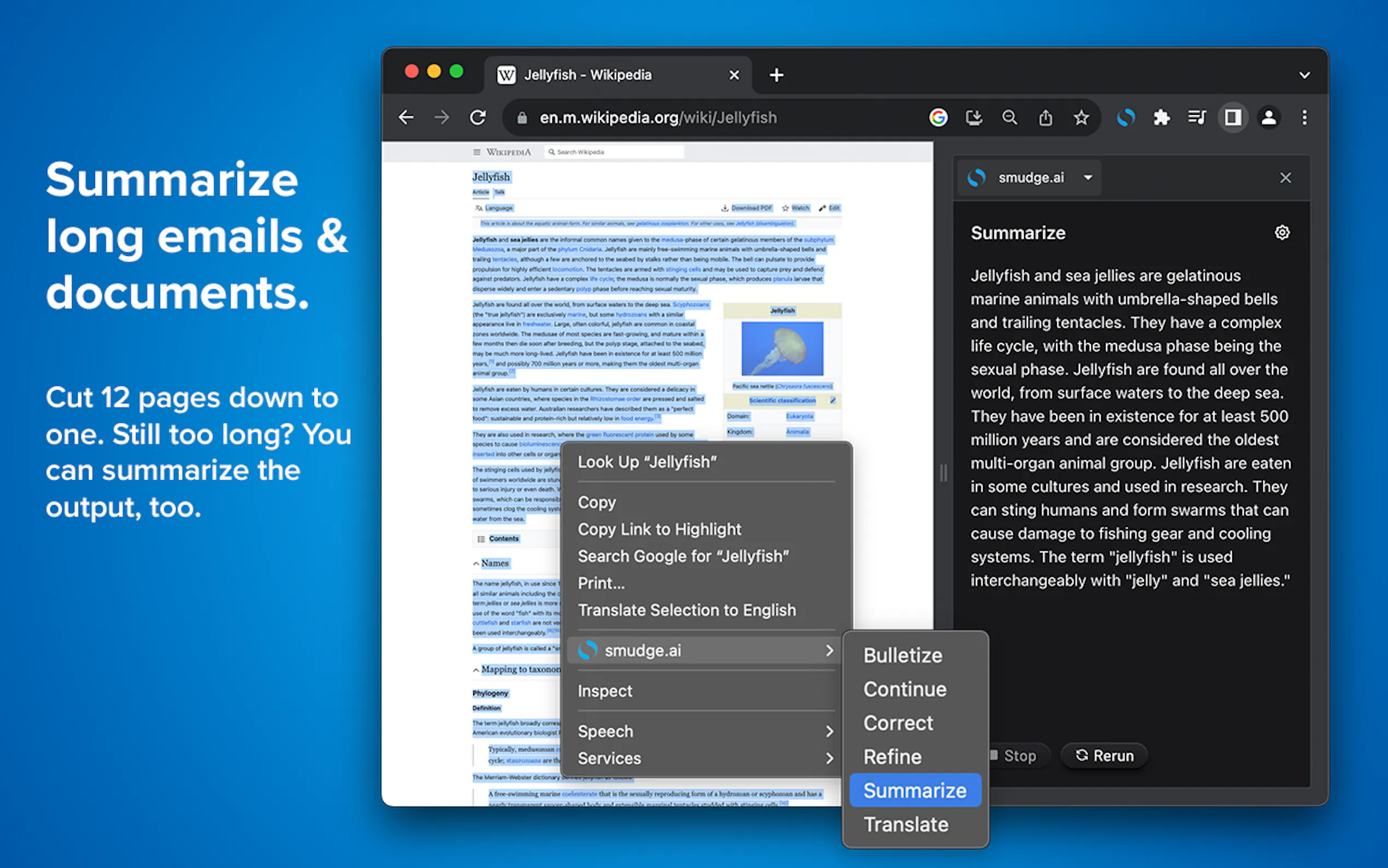 Smudge.ai gallery image