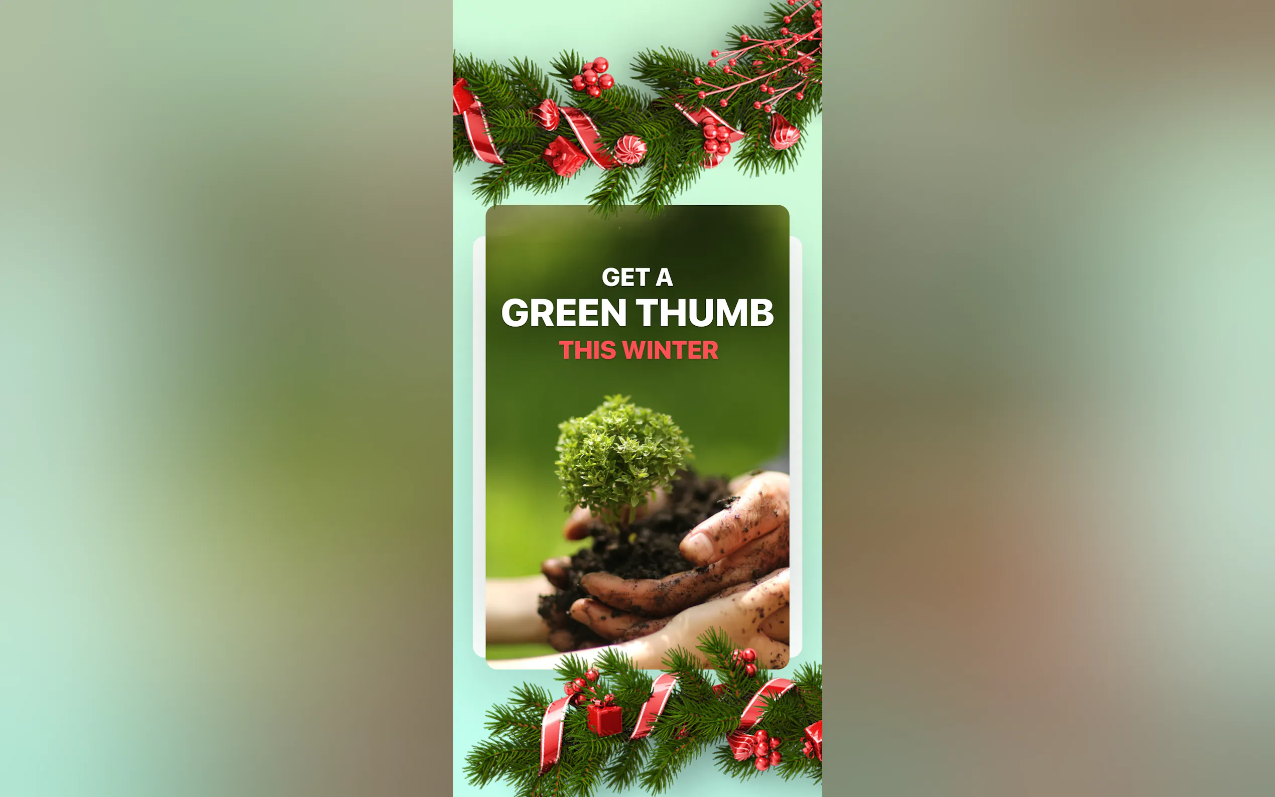 PictureThis gallery image