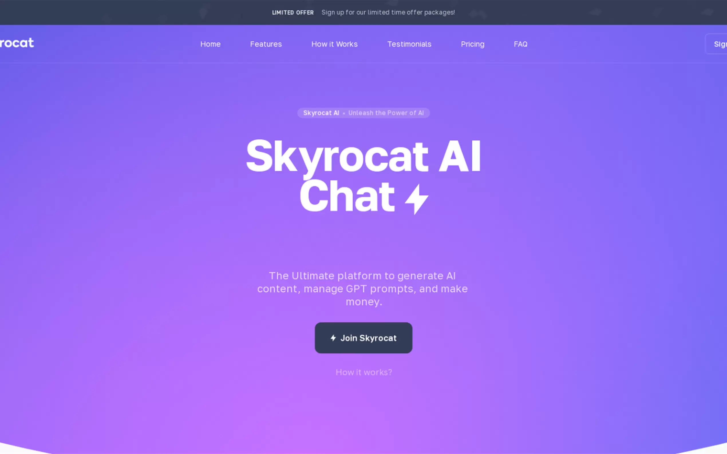 Skyrocat gallery image
