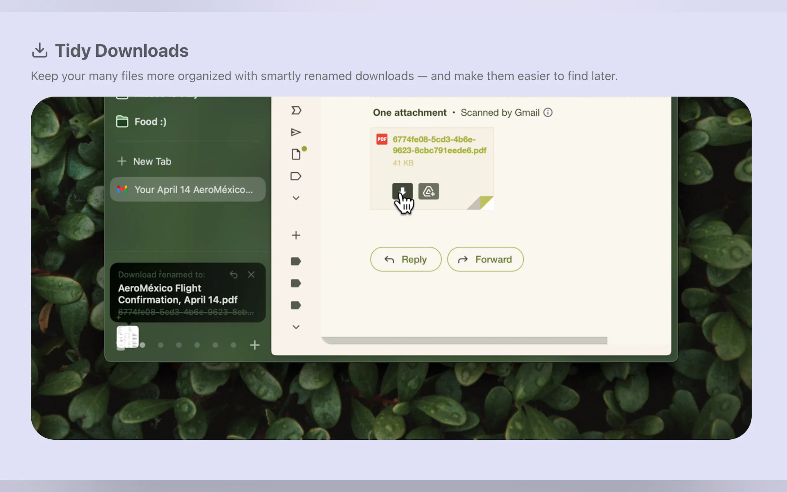 Arc Max gallery image