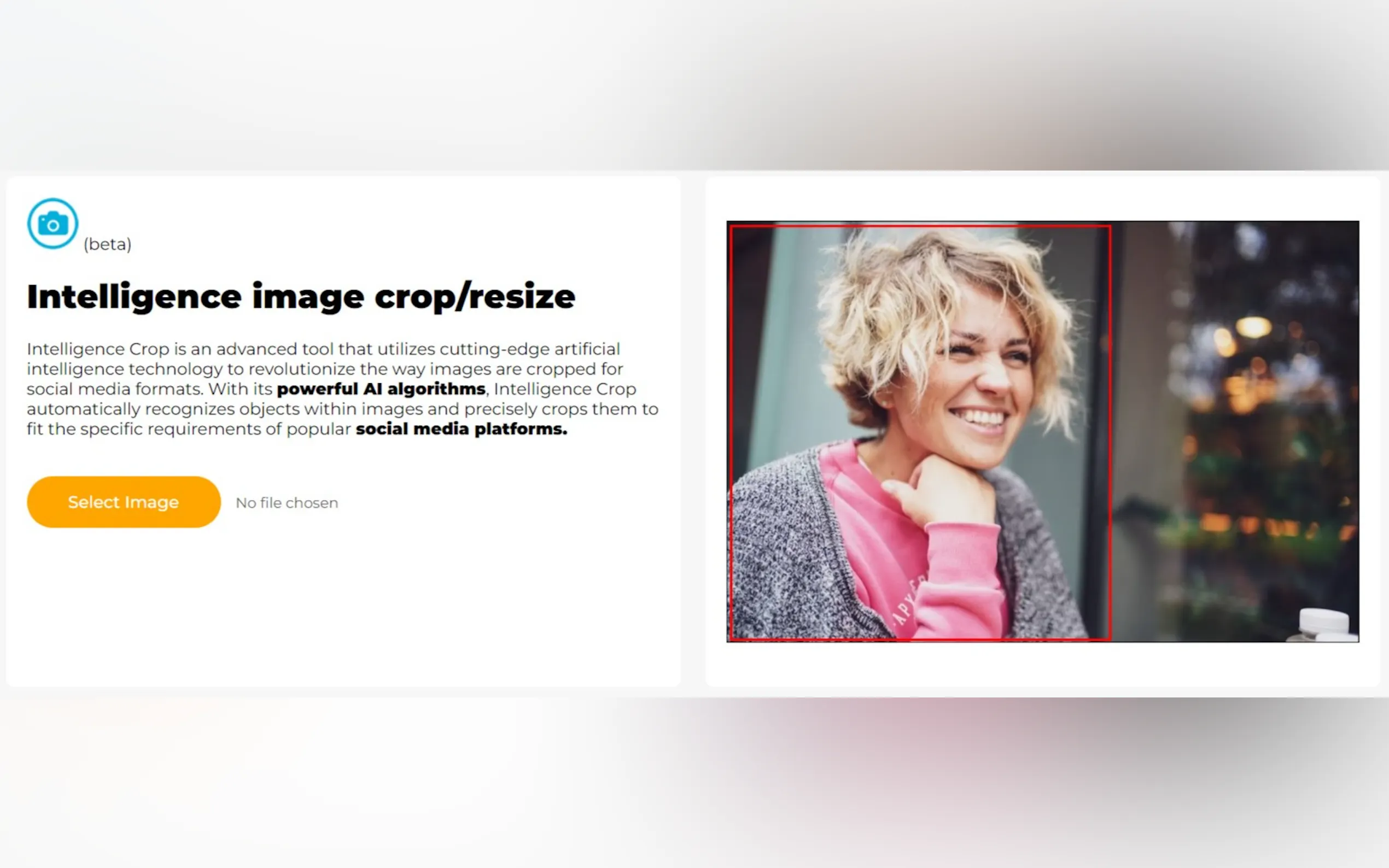 Intelligence image crop/resize gallery image