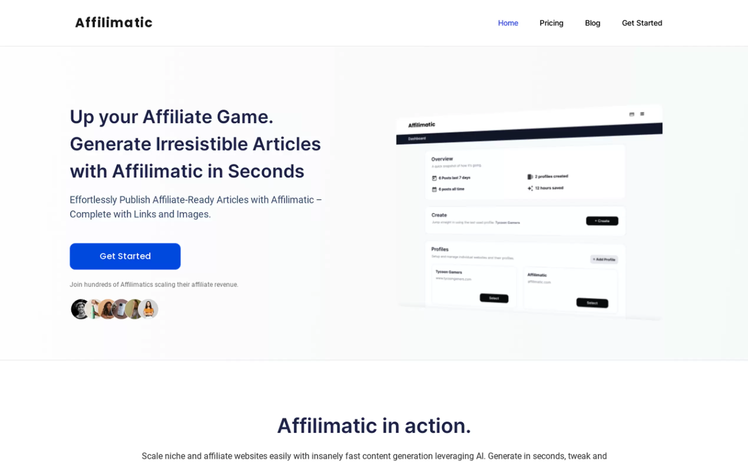 Affilimatic gallery image