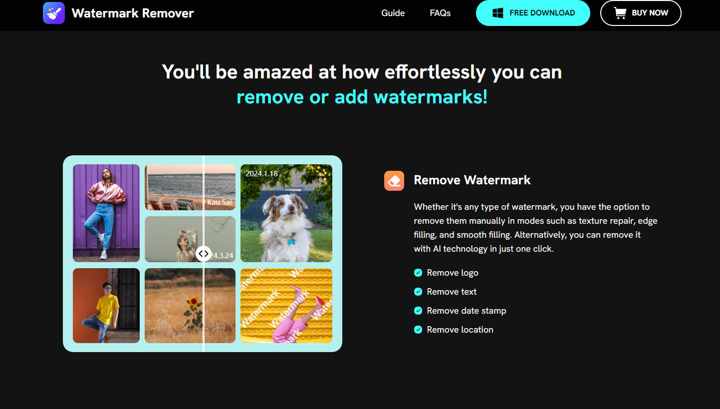 FliFlik Watermark Remover gallery image