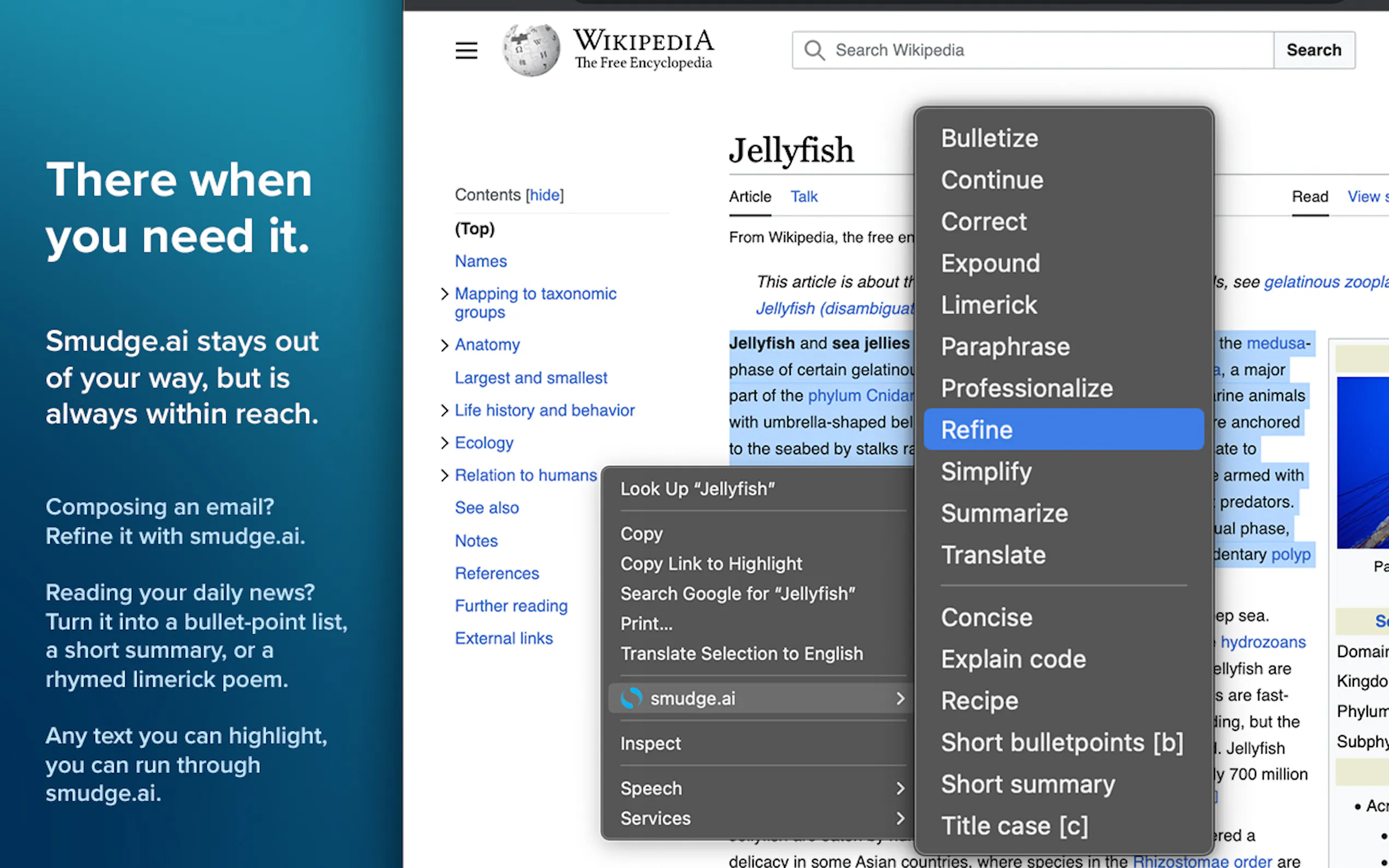 Smudge.ai gallery image