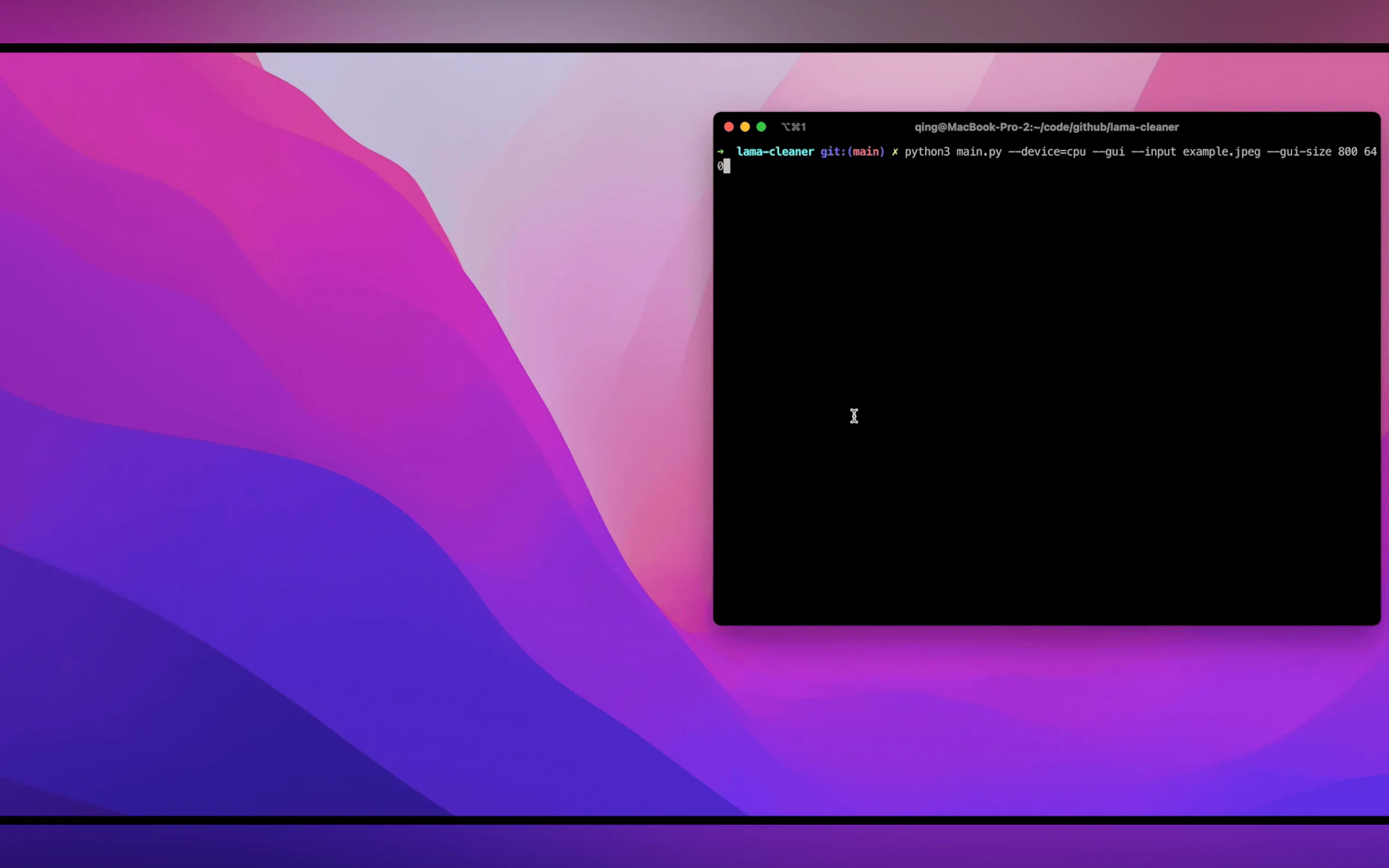Lama Cleaner gallery image