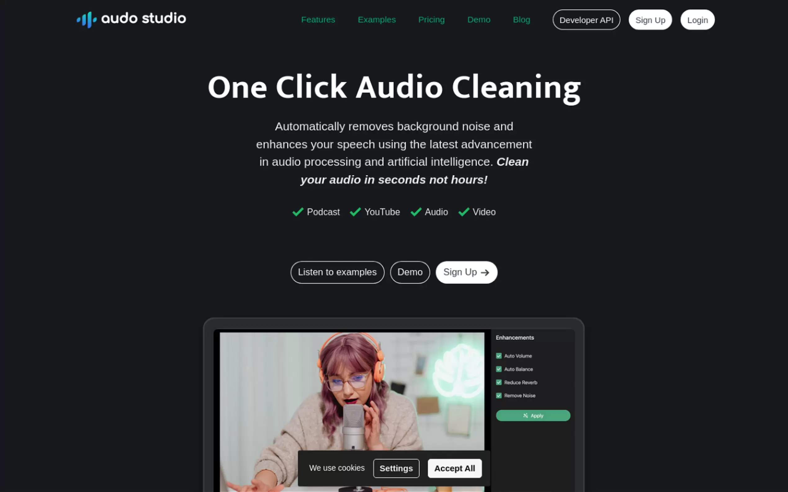 Audo AI gallery image