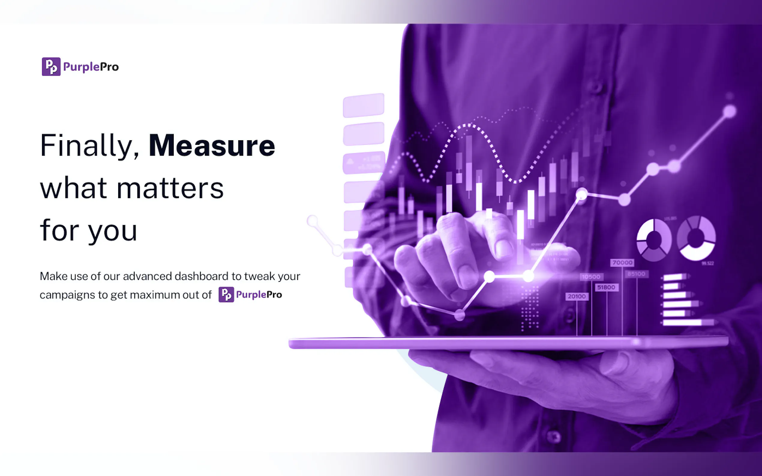 PurplePro gallery image