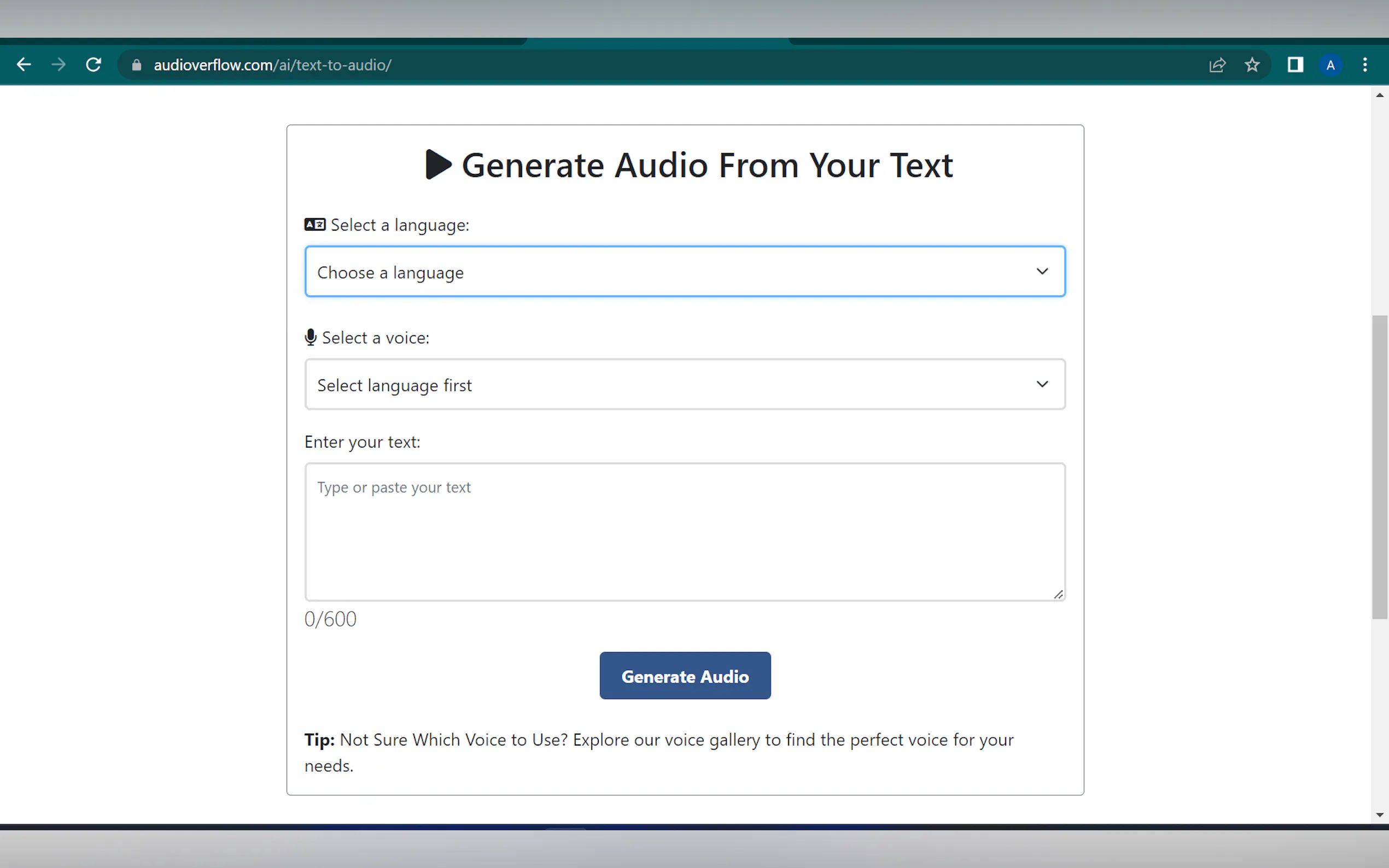 AudiOverFlow gallery image