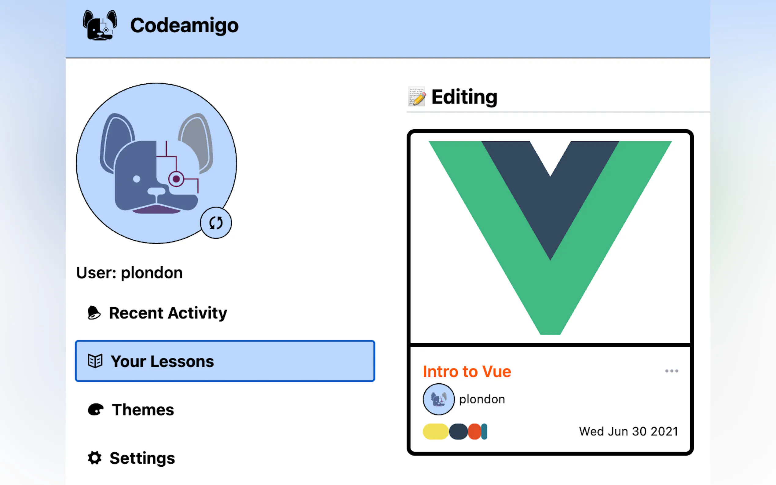 Codeamigo gallery image