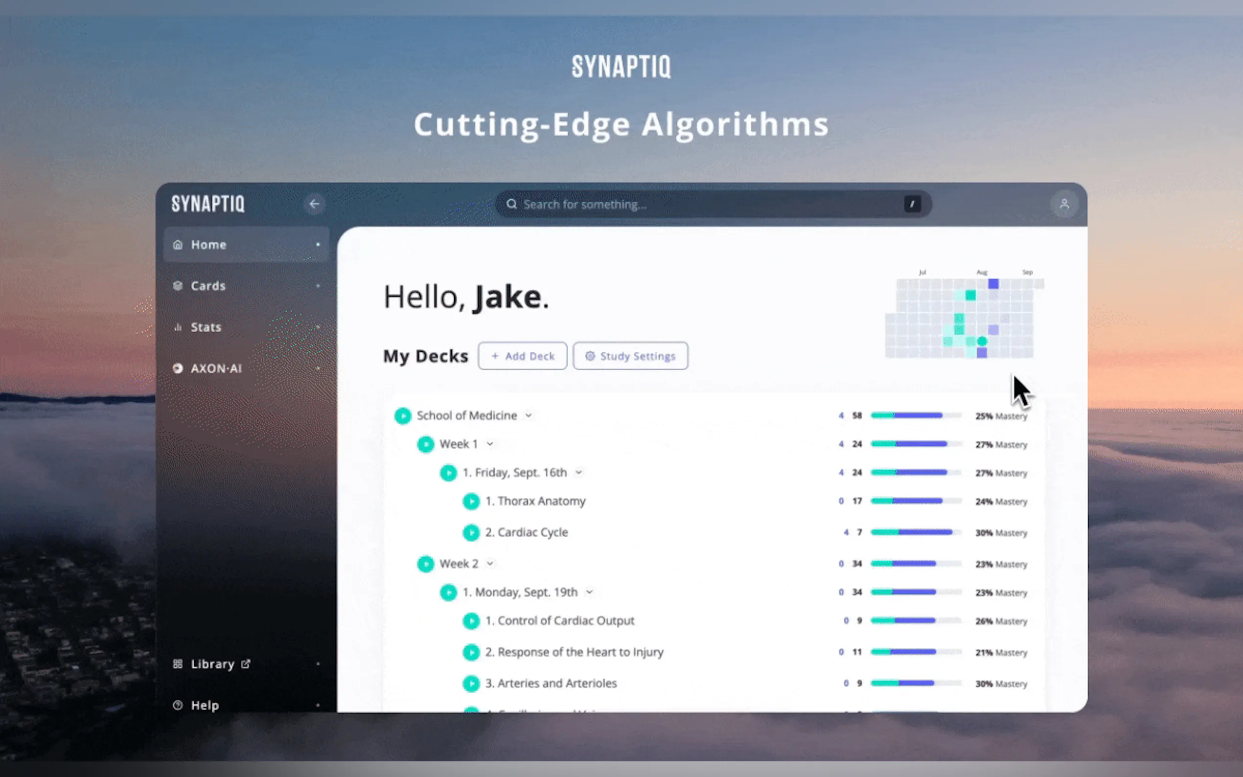 Synaptiq gallery image