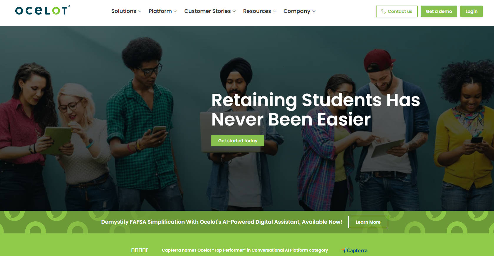 Ocelot gallery image