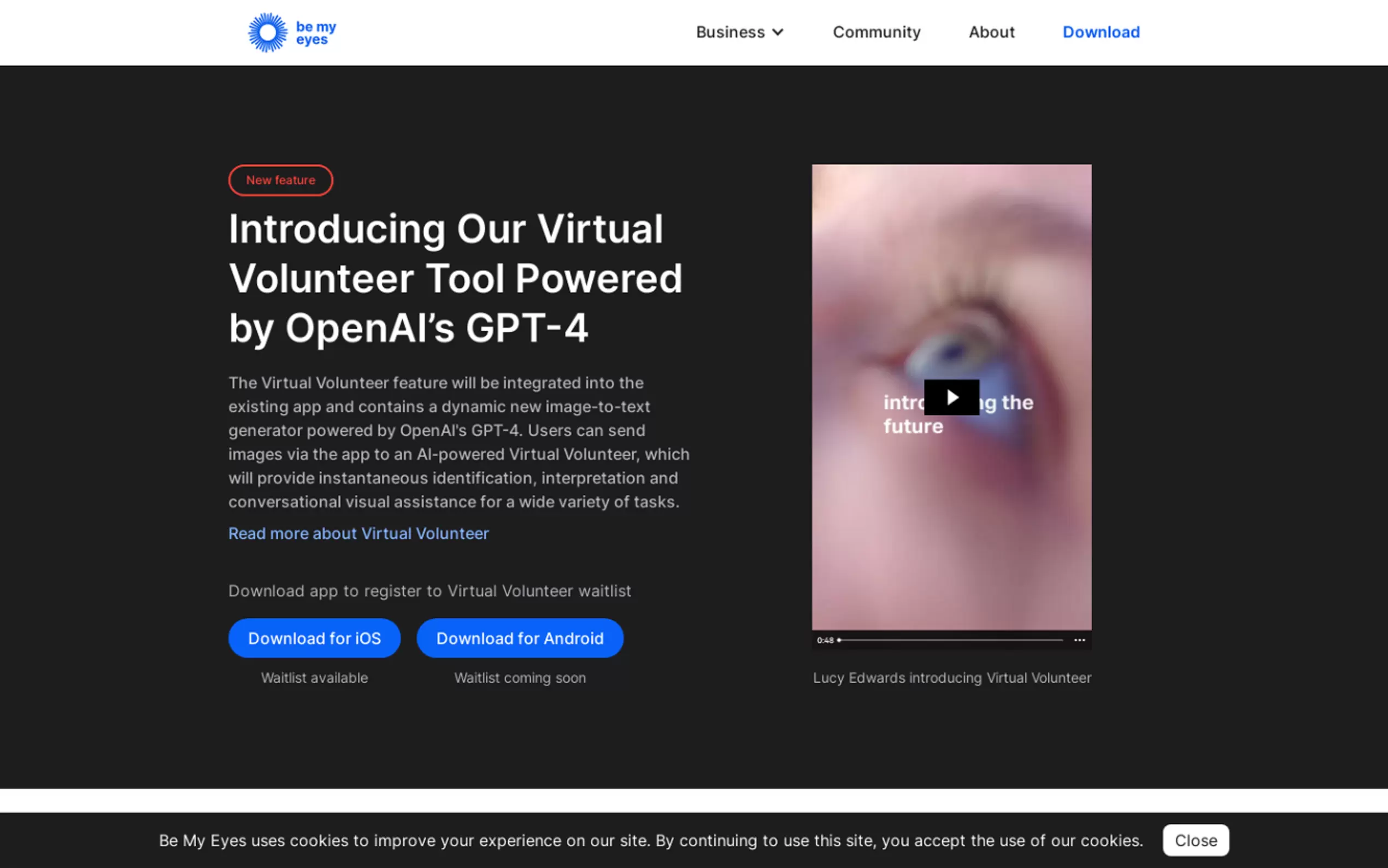 Virtual Volunteer gallery image
