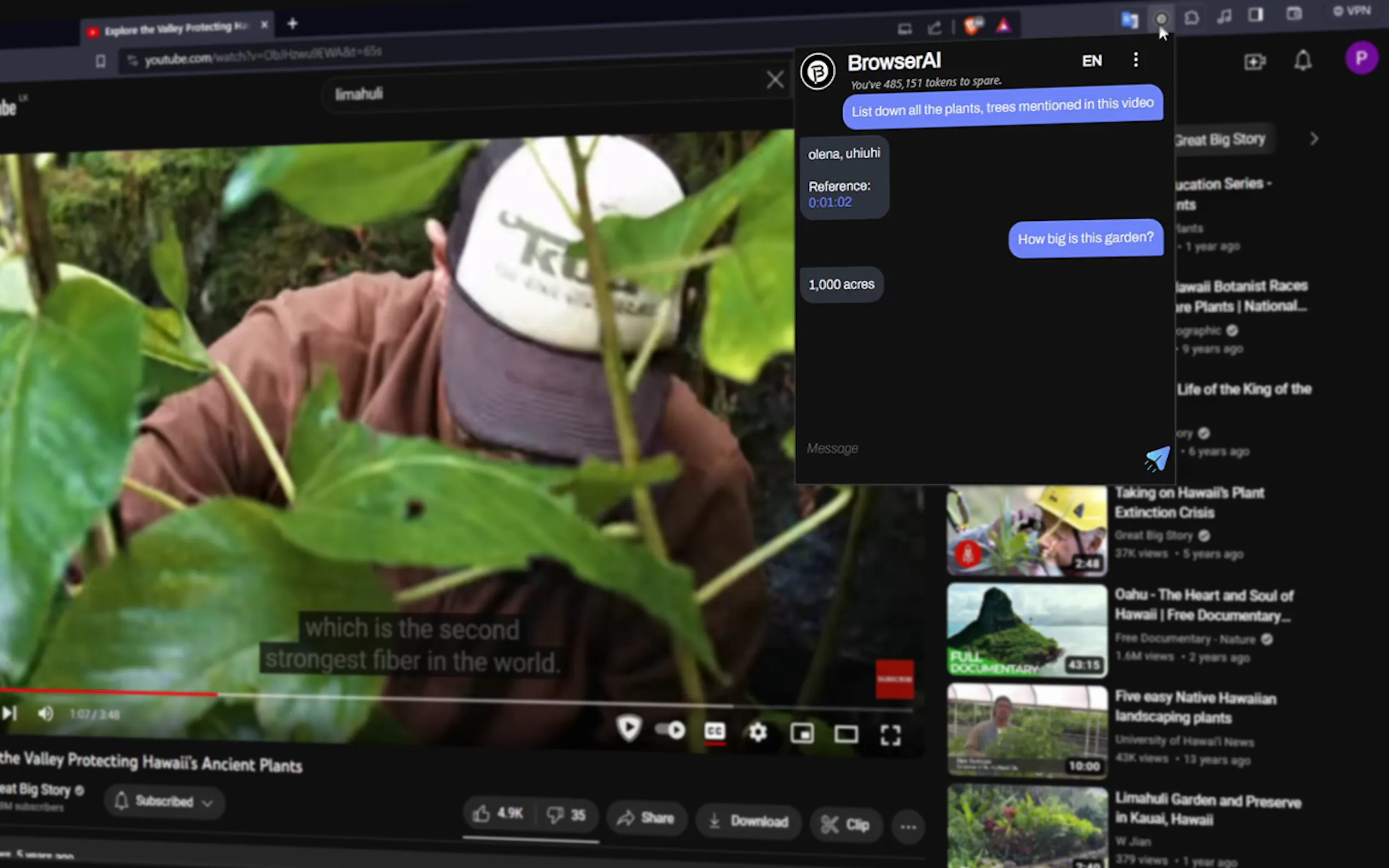 BrowserAI gallery image