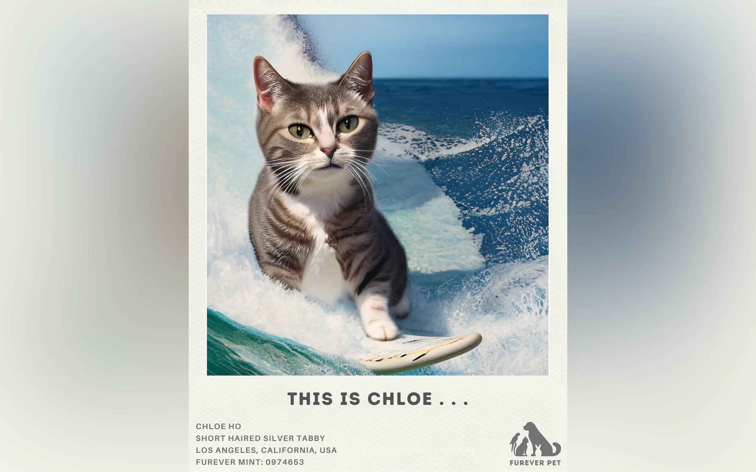 FUREVER PET gallery image