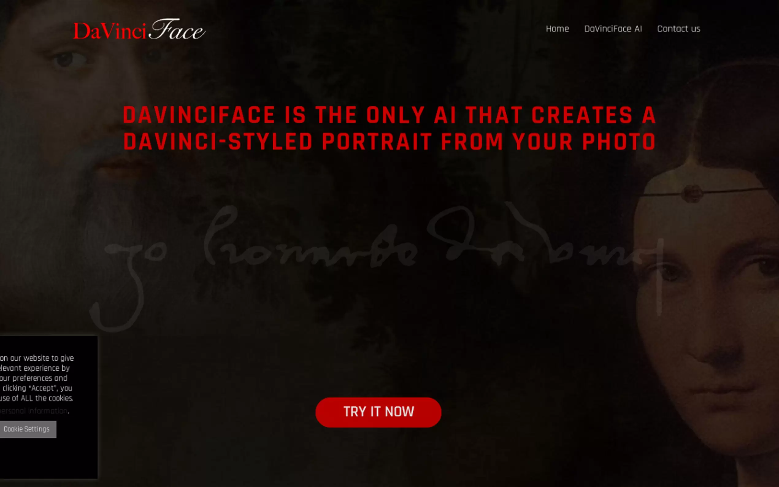 DaVinciFace gallery image