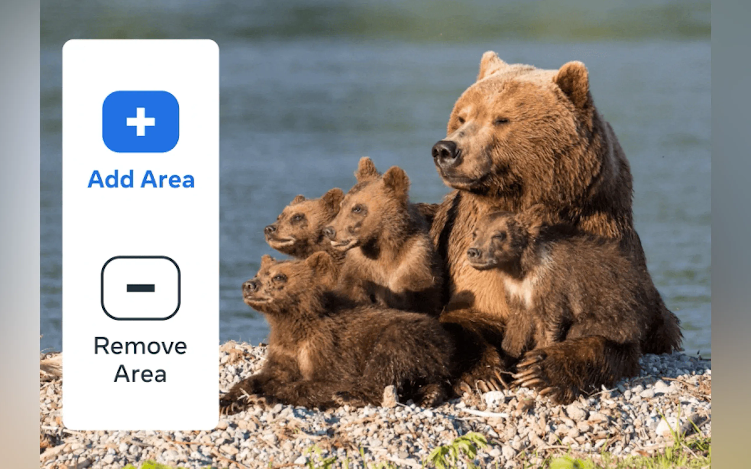 Segment Anything gallery image