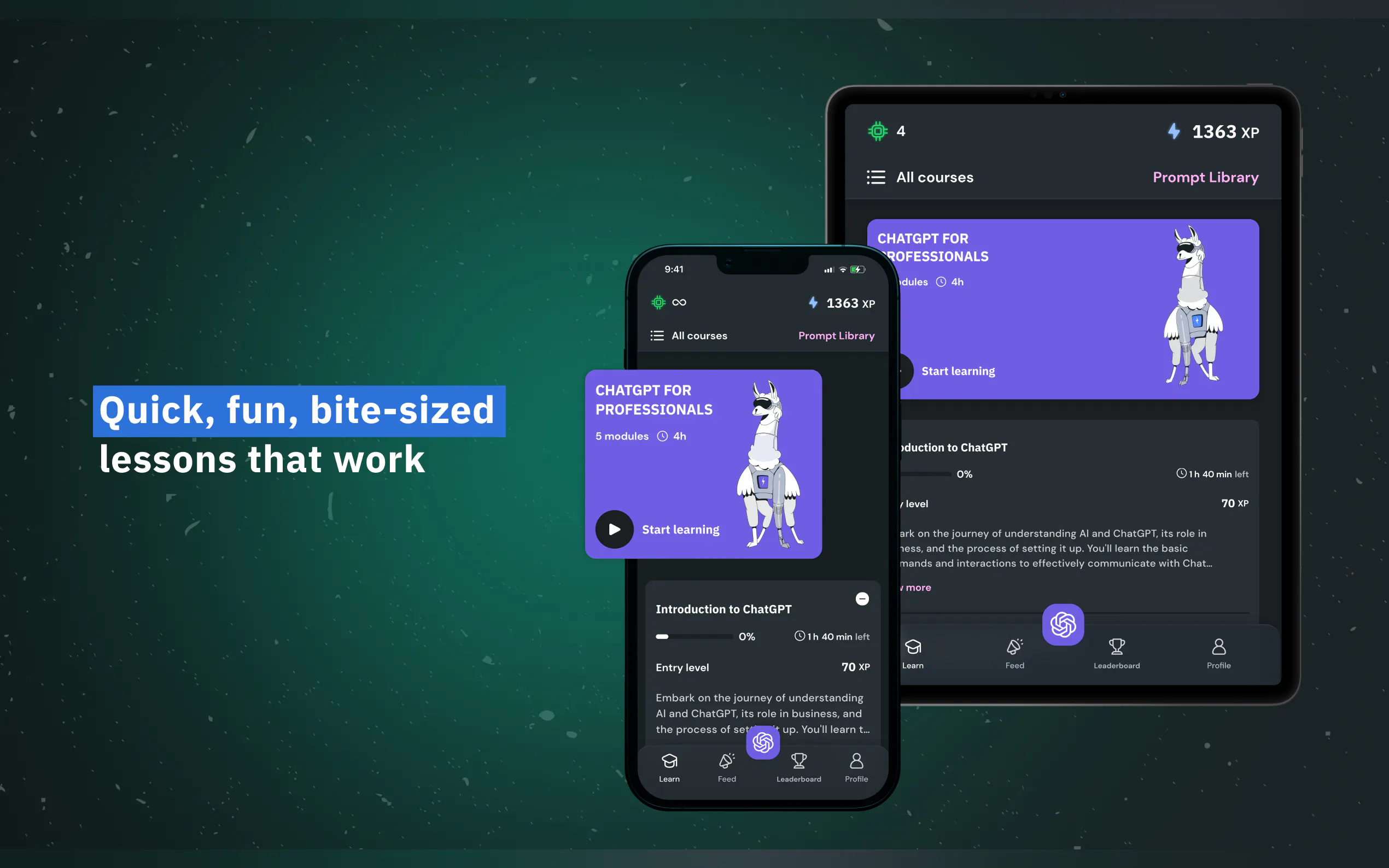 Ai LaMo gallery image