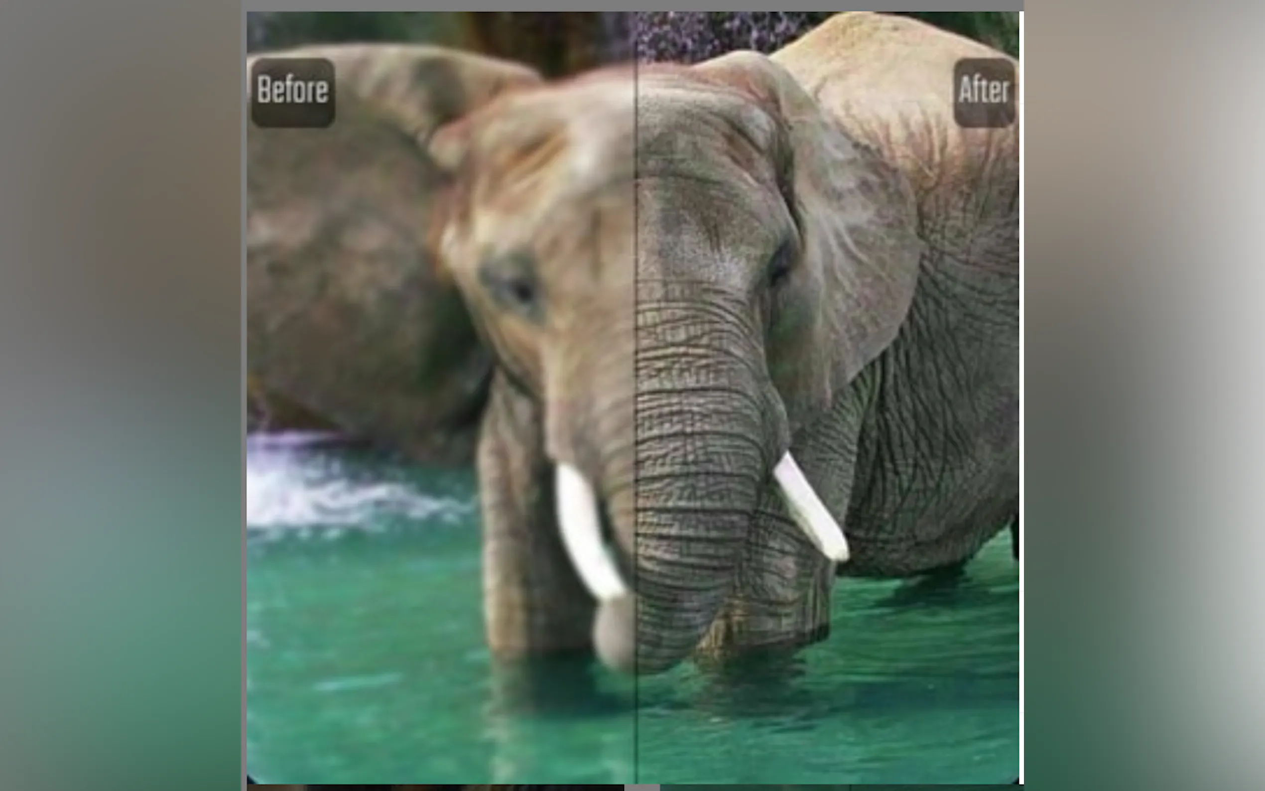 UpscalePics gallery image