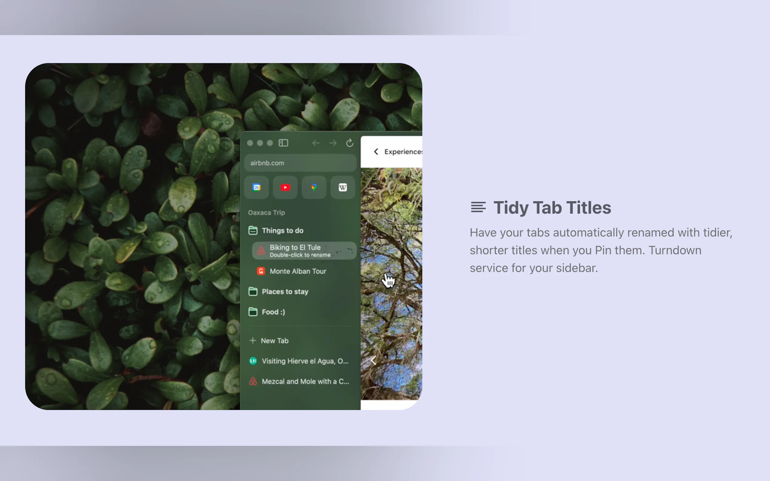 Arc Max gallery image