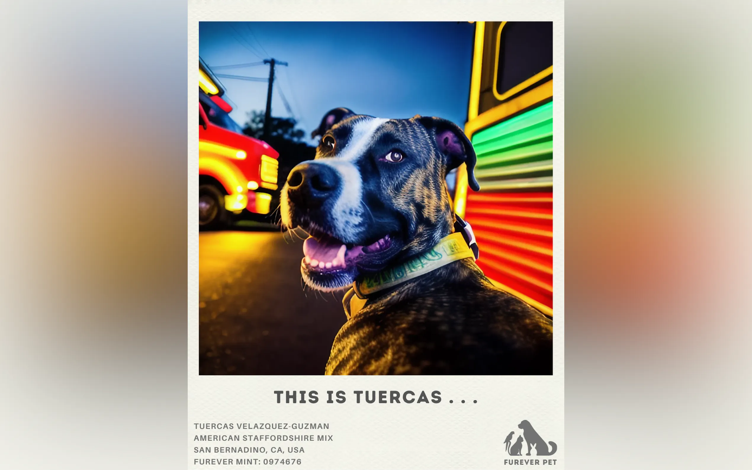 FUREVER PET gallery image