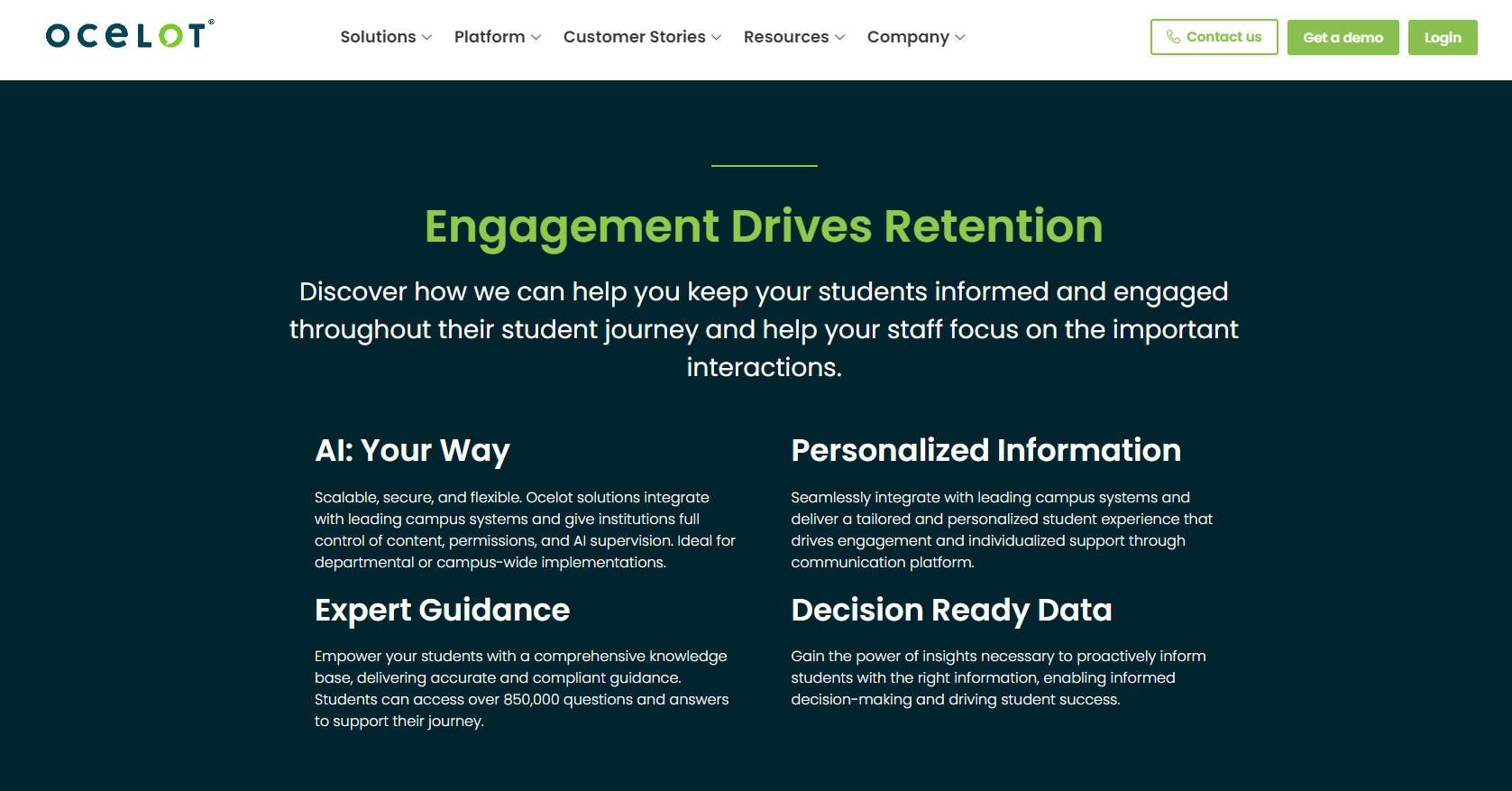 Ocelot gallery image