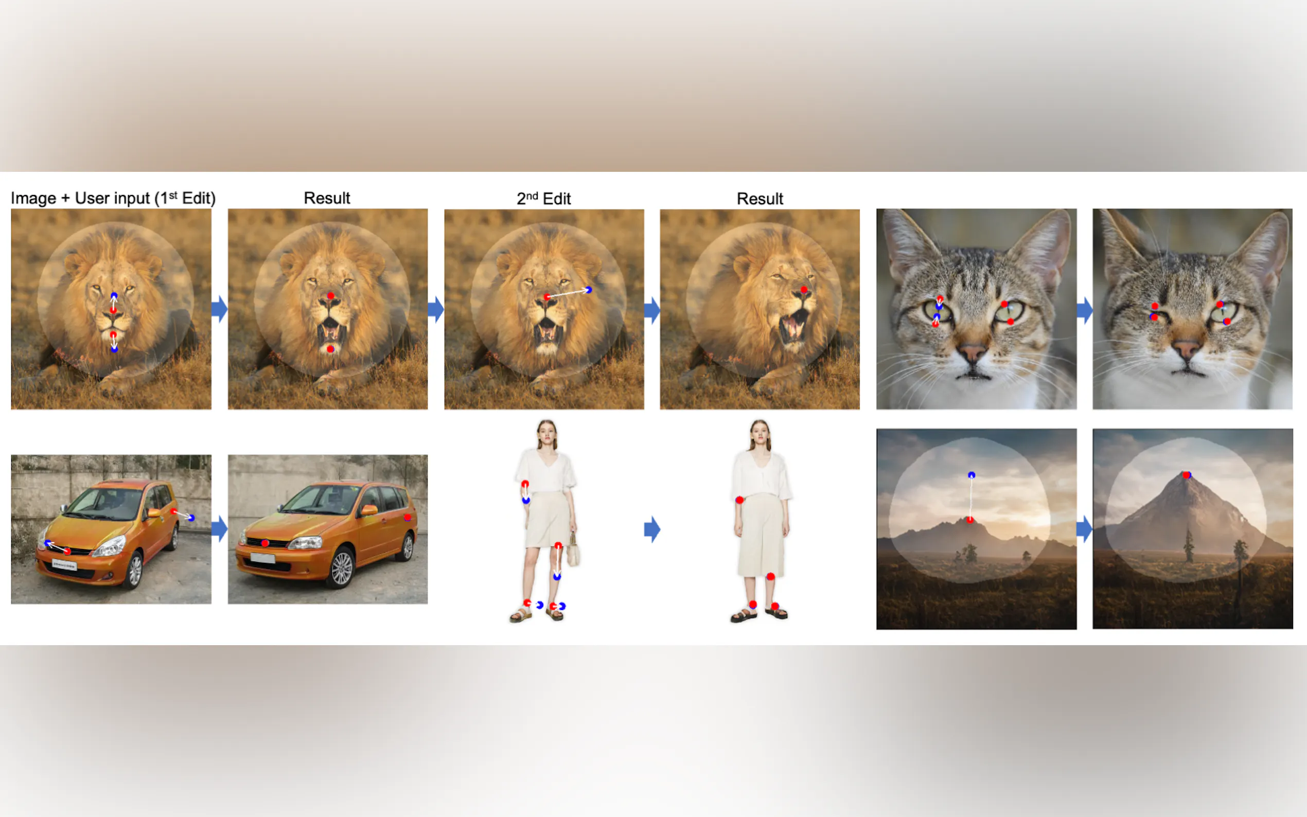 DragGAN gallery image