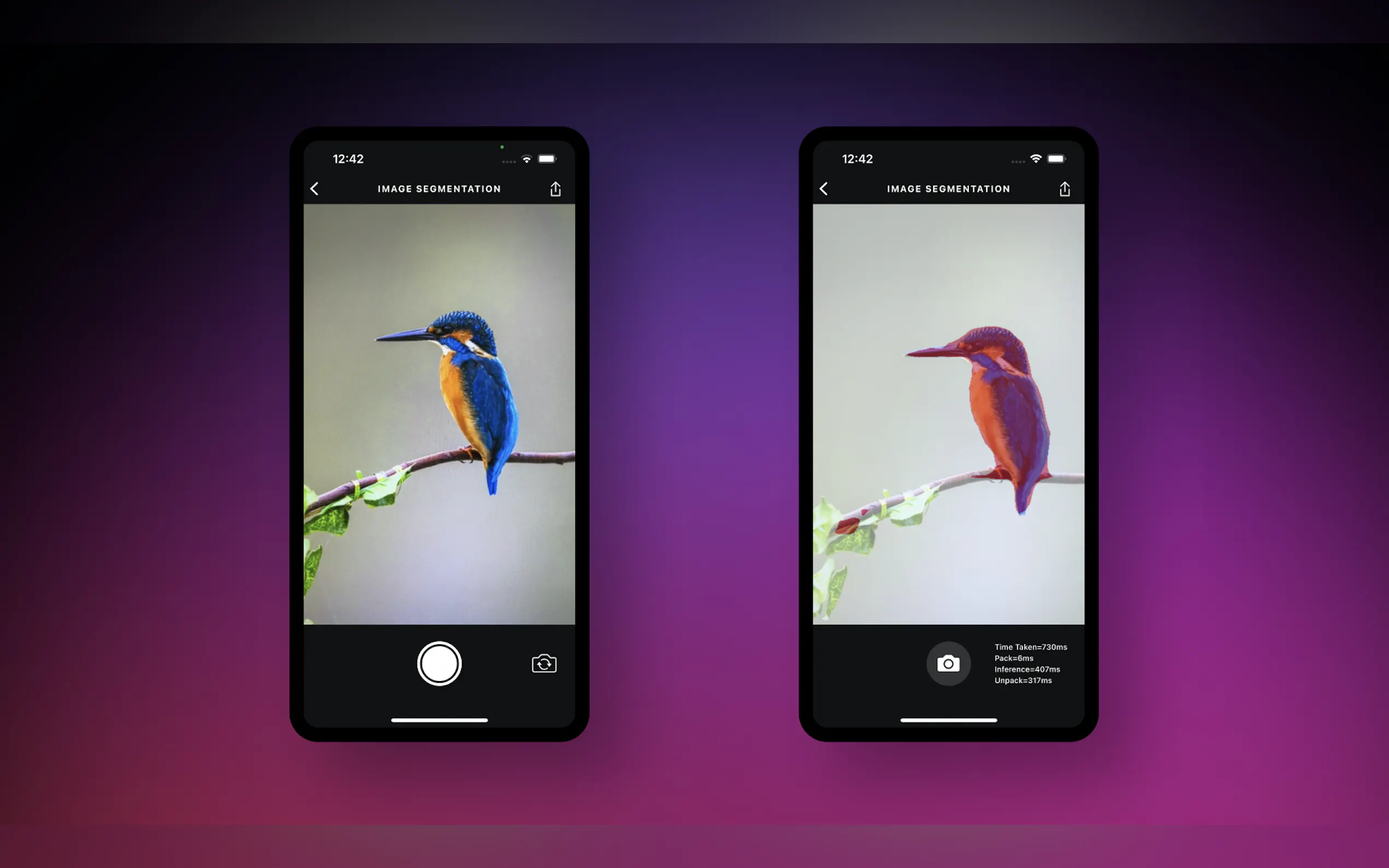 PlayTorch gallery image