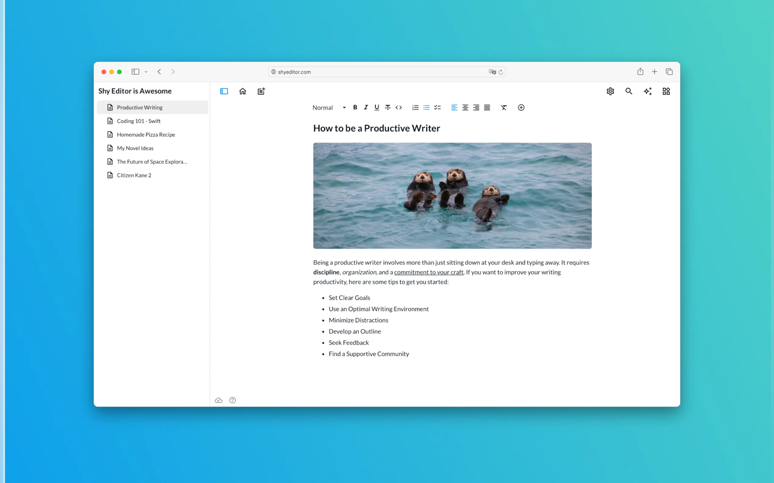 Shy Editor gallery image