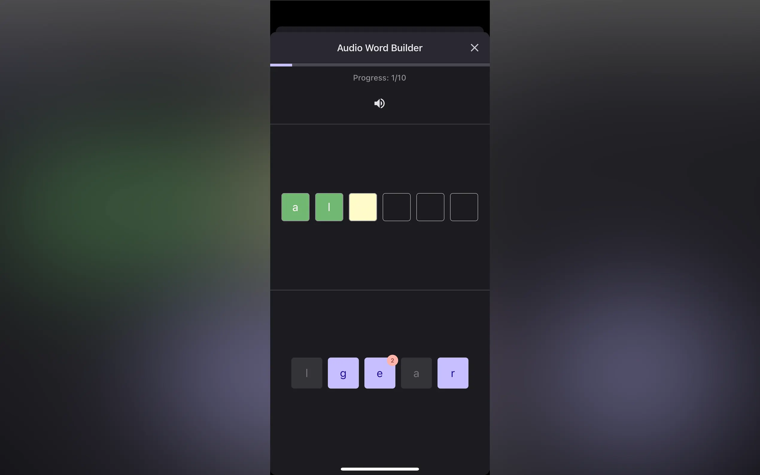 LexiGym gallery image