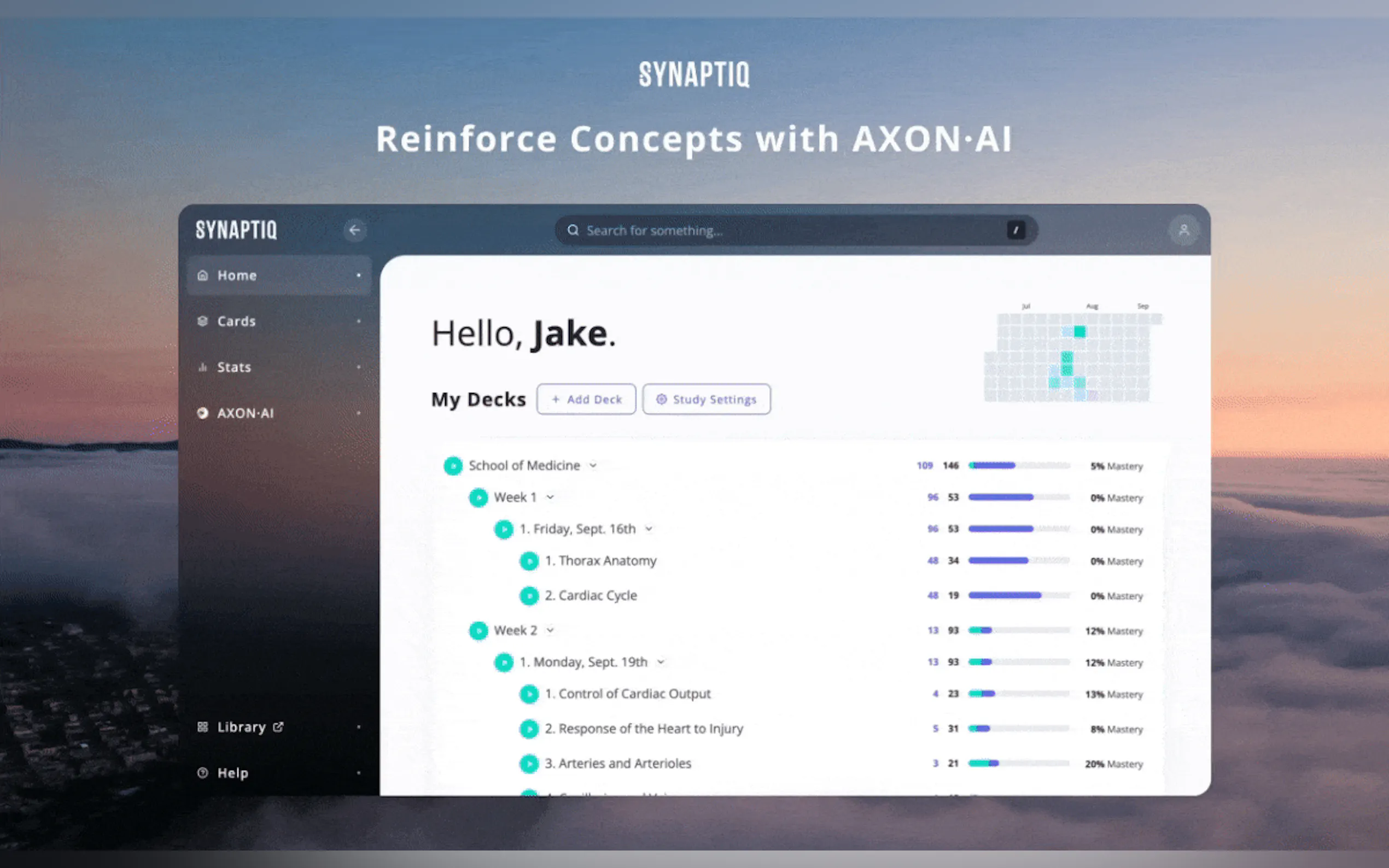 Synaptiq gallery image