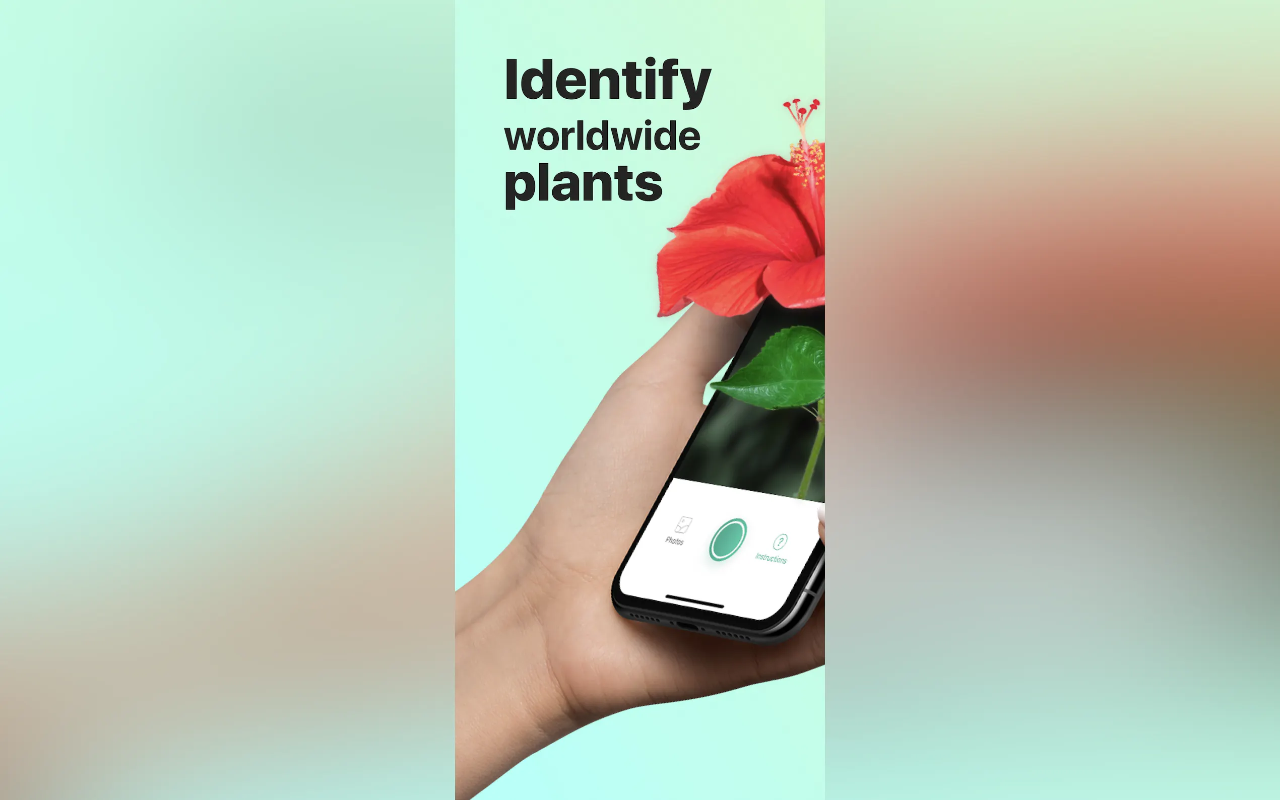 PictureThis gallery image