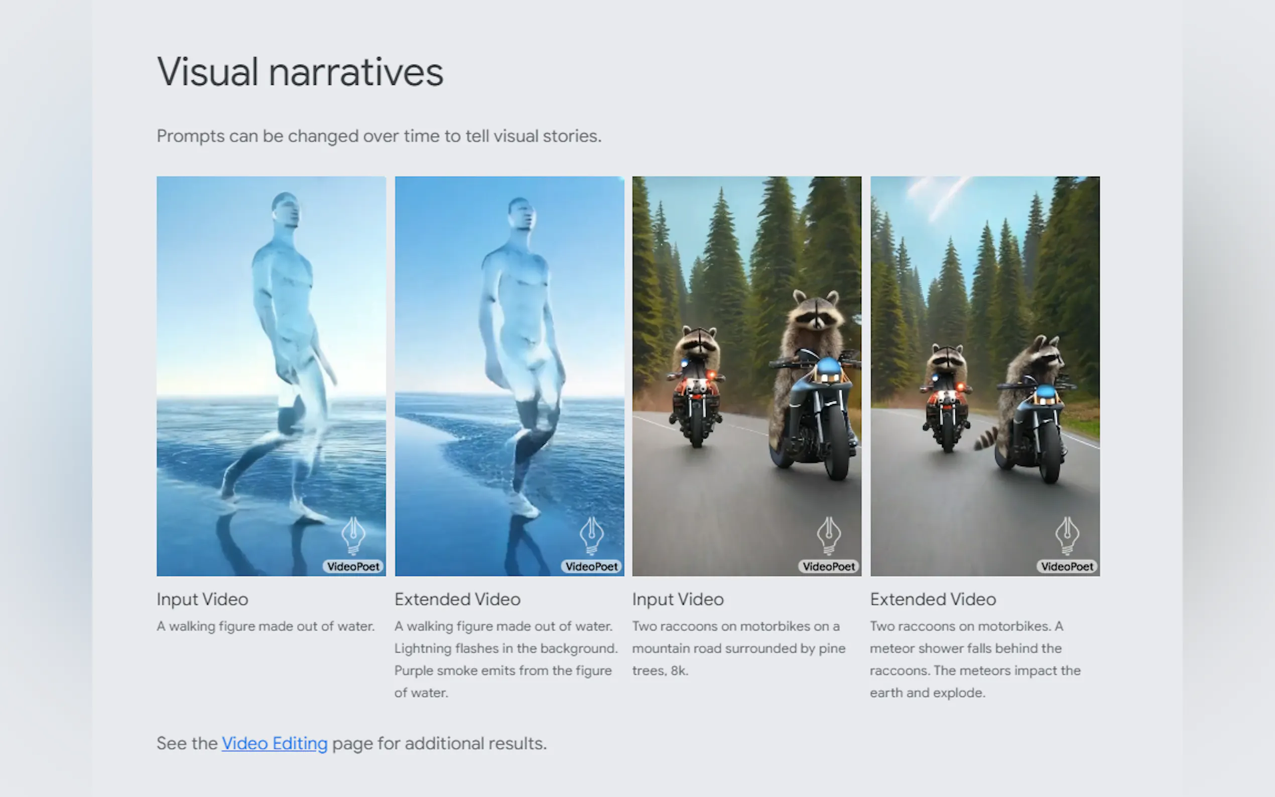 VideoPoet gallery image