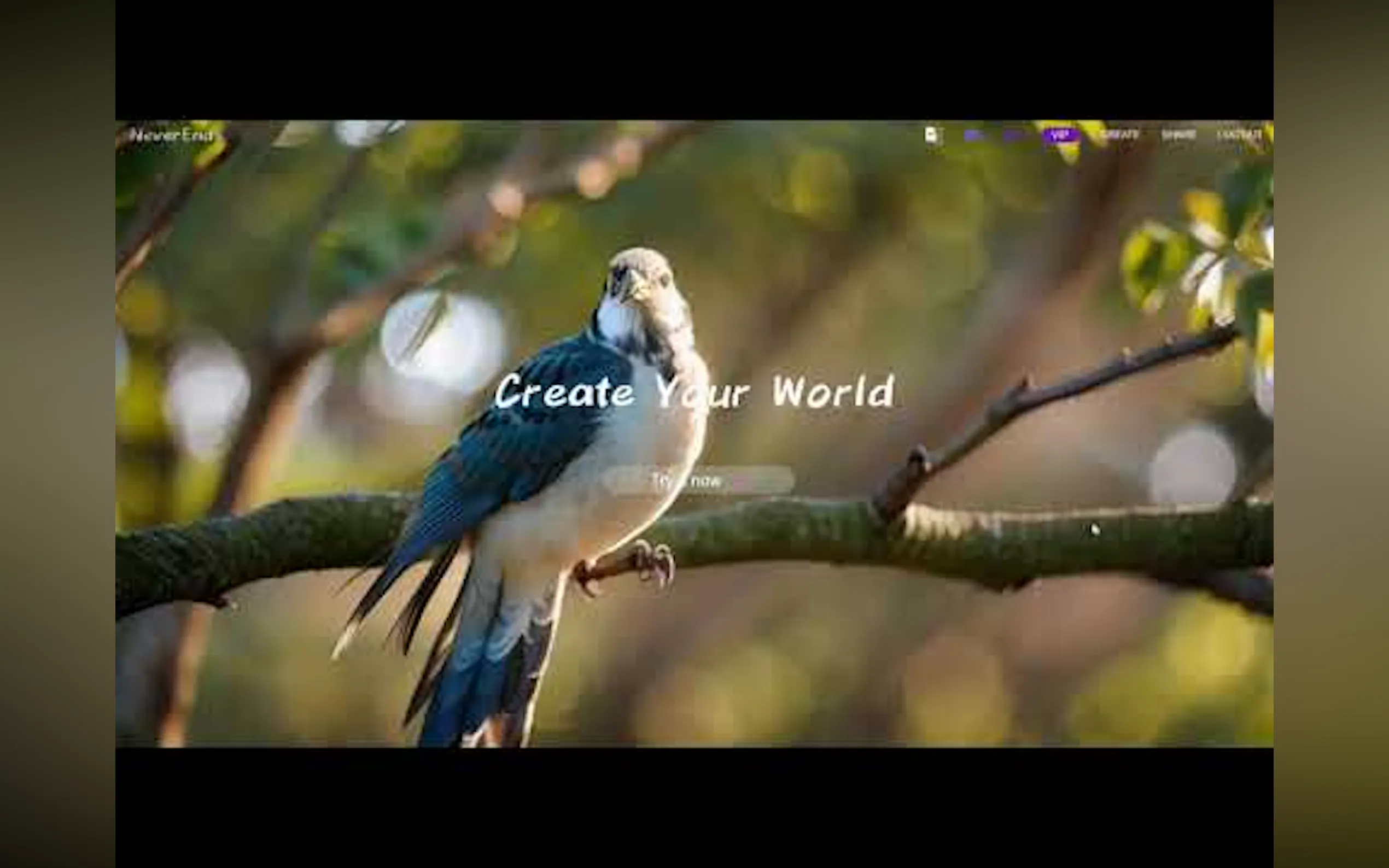 NeverEnds gallery image