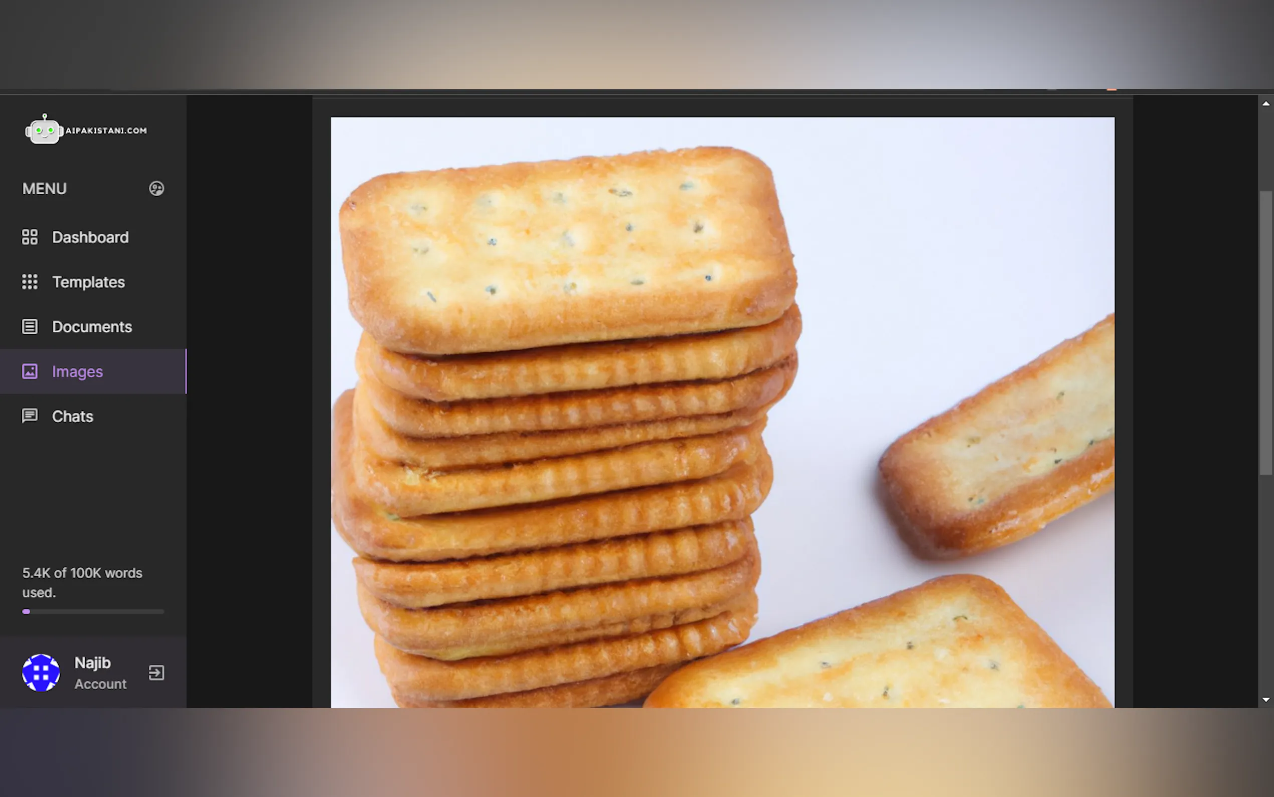 Ai Pakistani gallery image