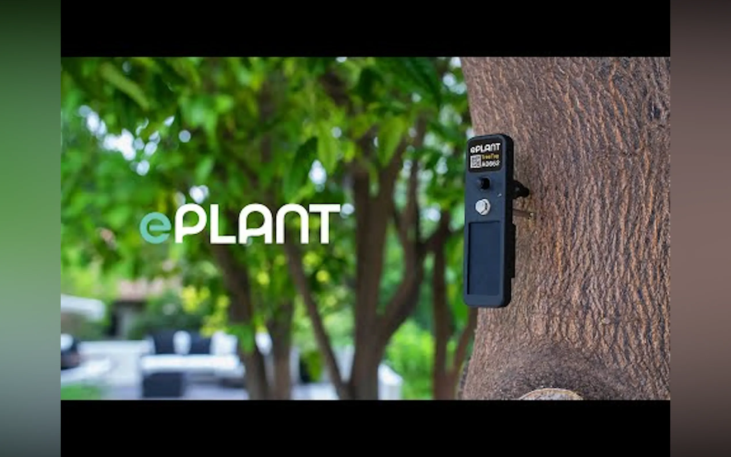 EPlant TreeTag gallery image