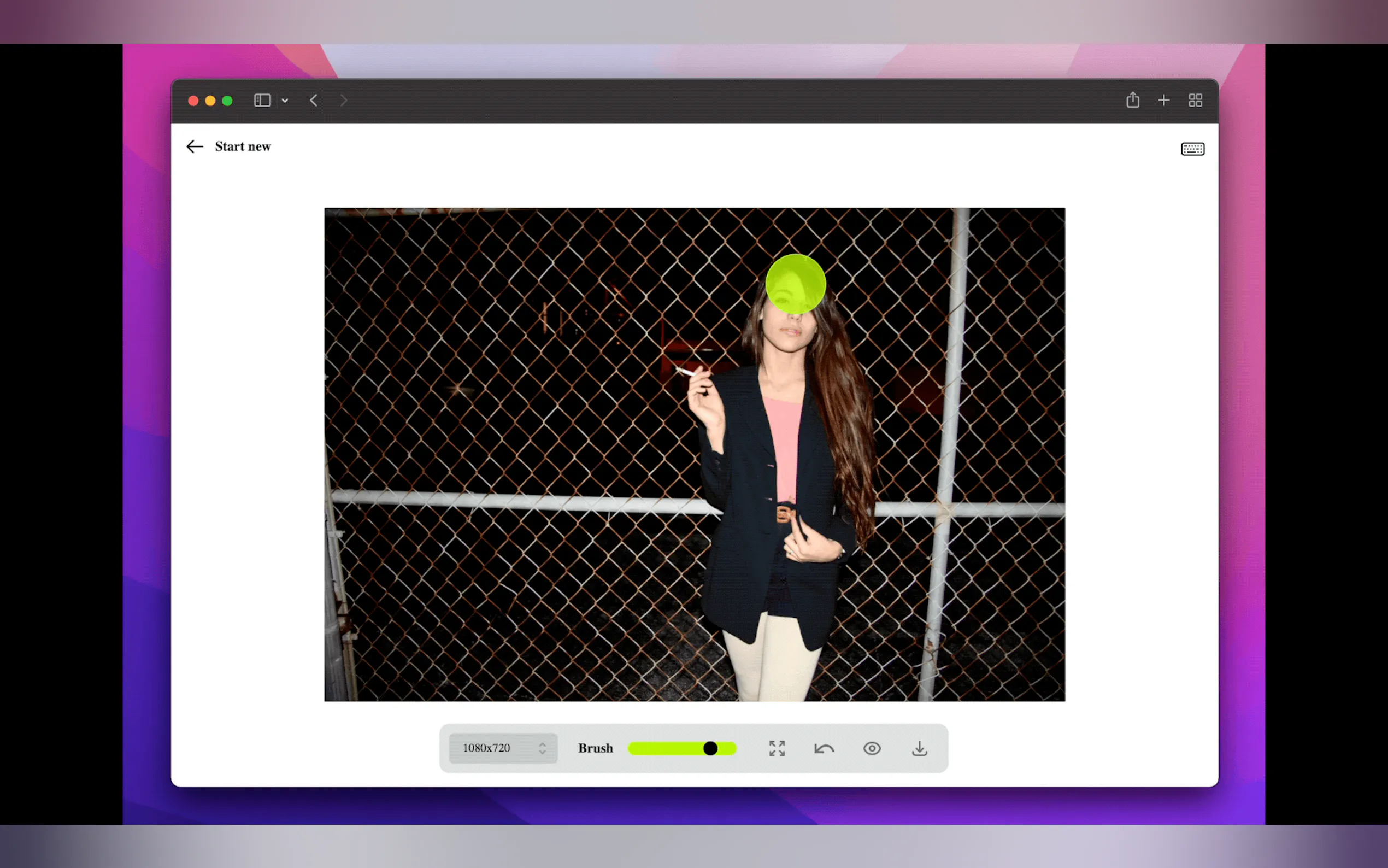 Lama Cleaner gallery image