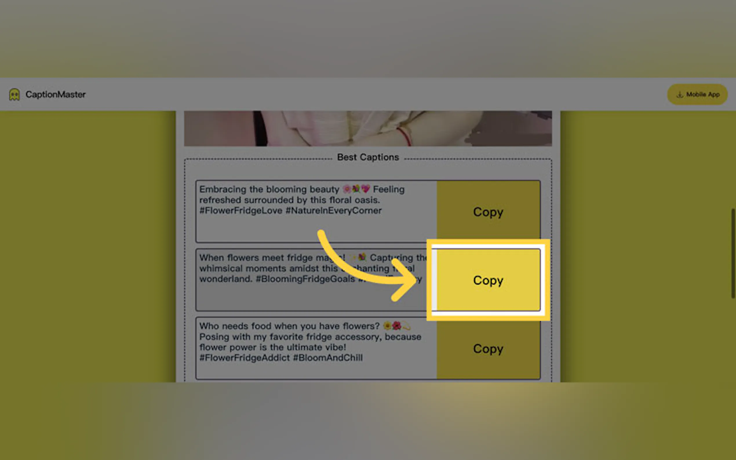 CaptionMaster gallery image