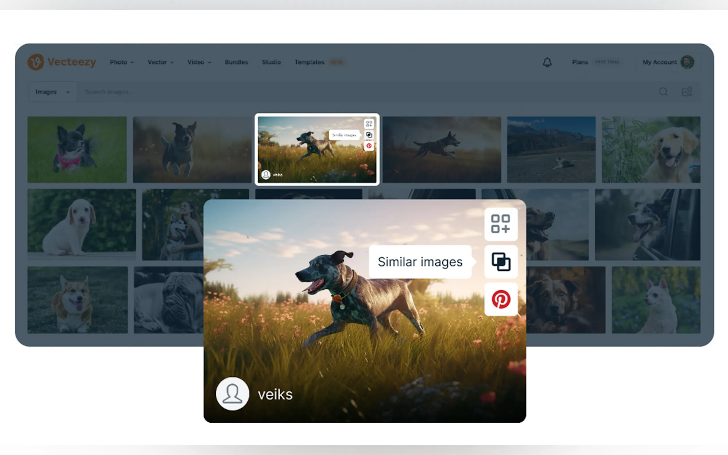 AI Reverse Image Search gallery image