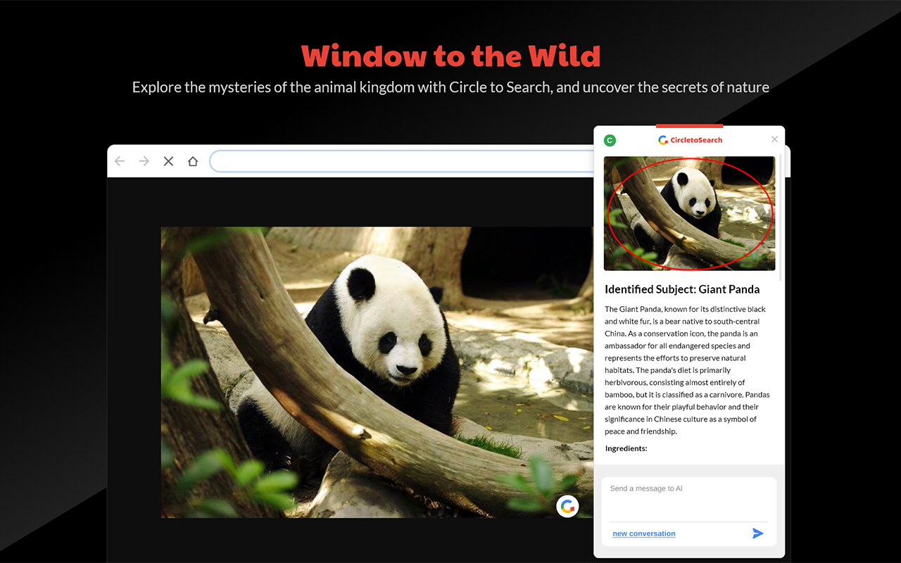 Circle to Search gallery image