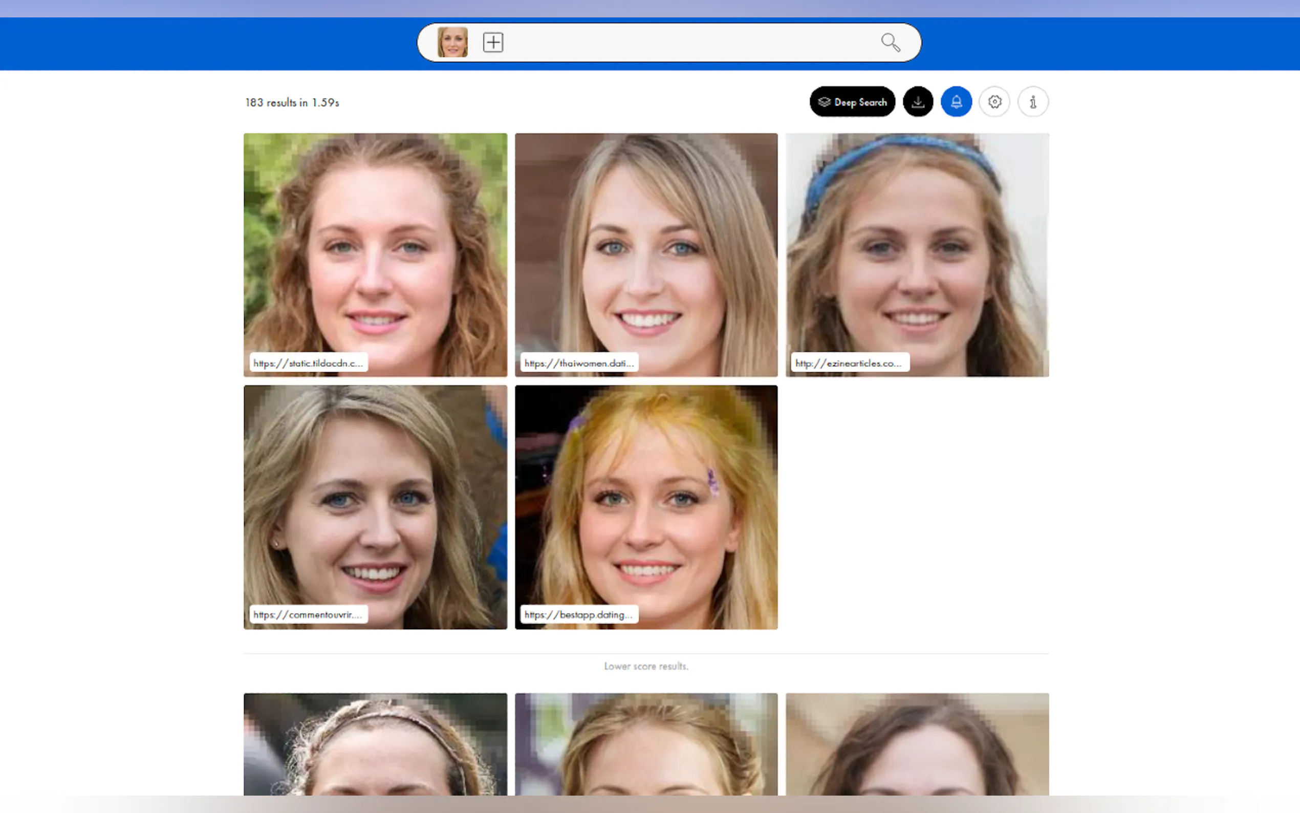 PimEyes gallery image