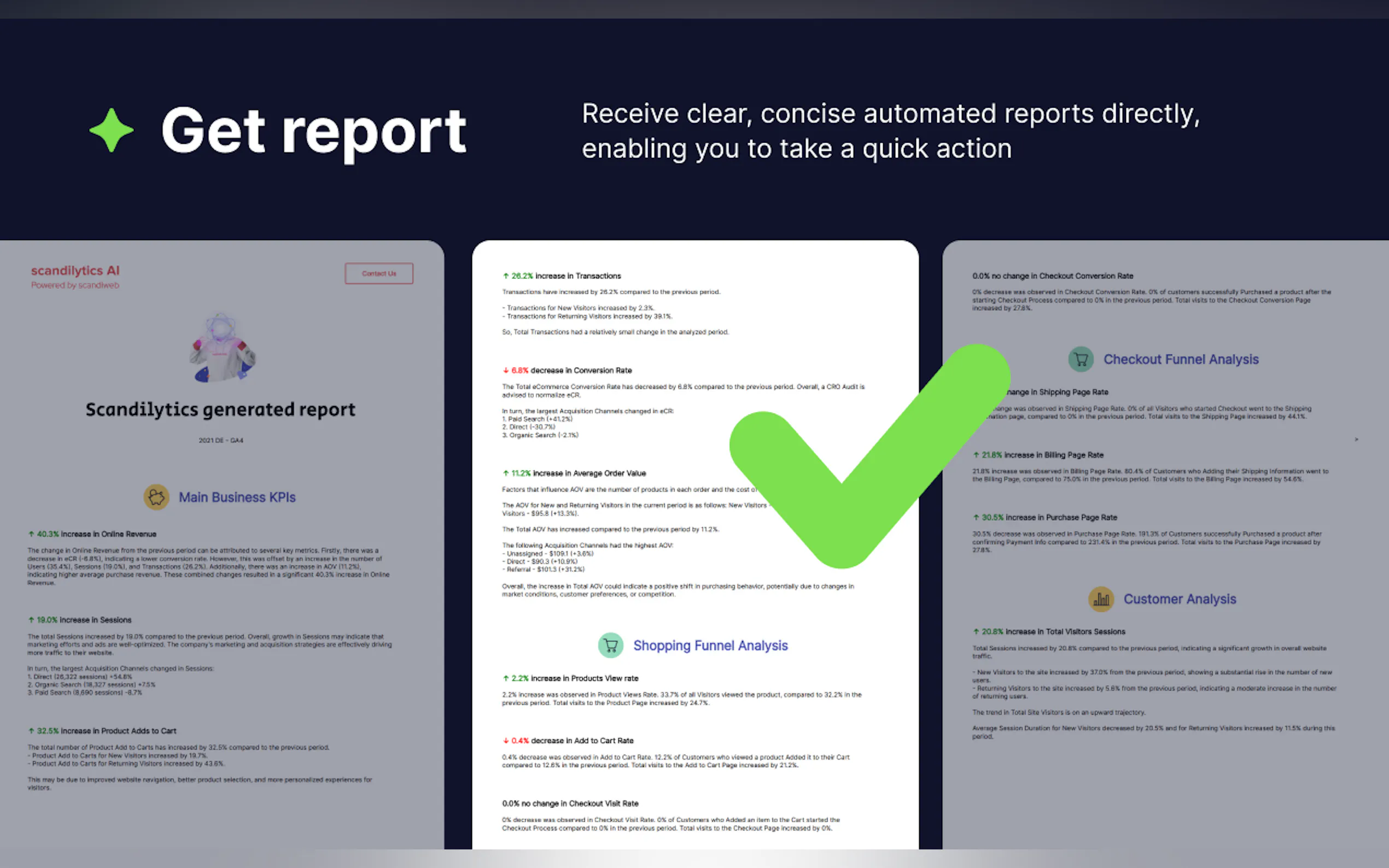 Scandilytics AI gallery image
