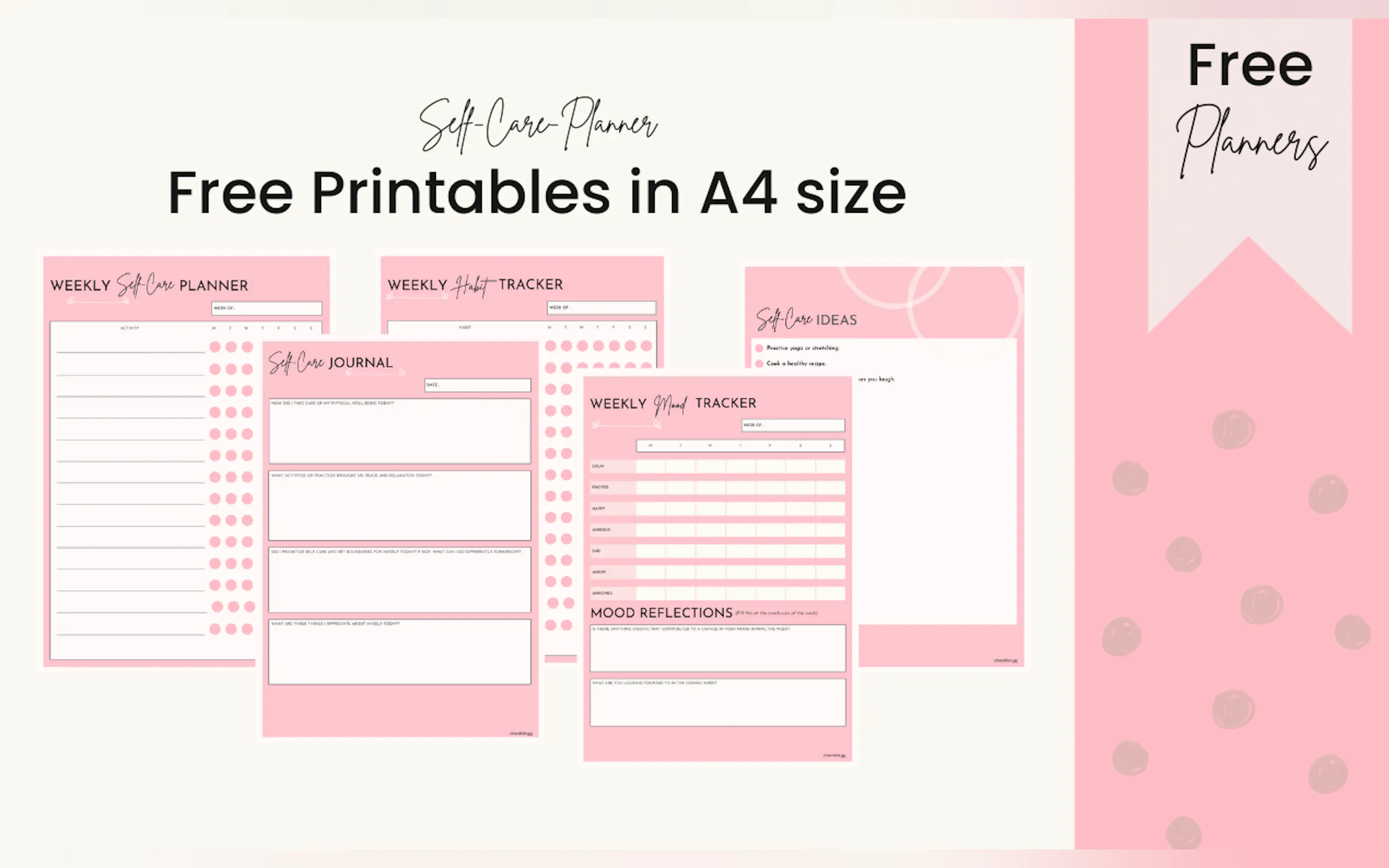 Checklist.gg gallery image