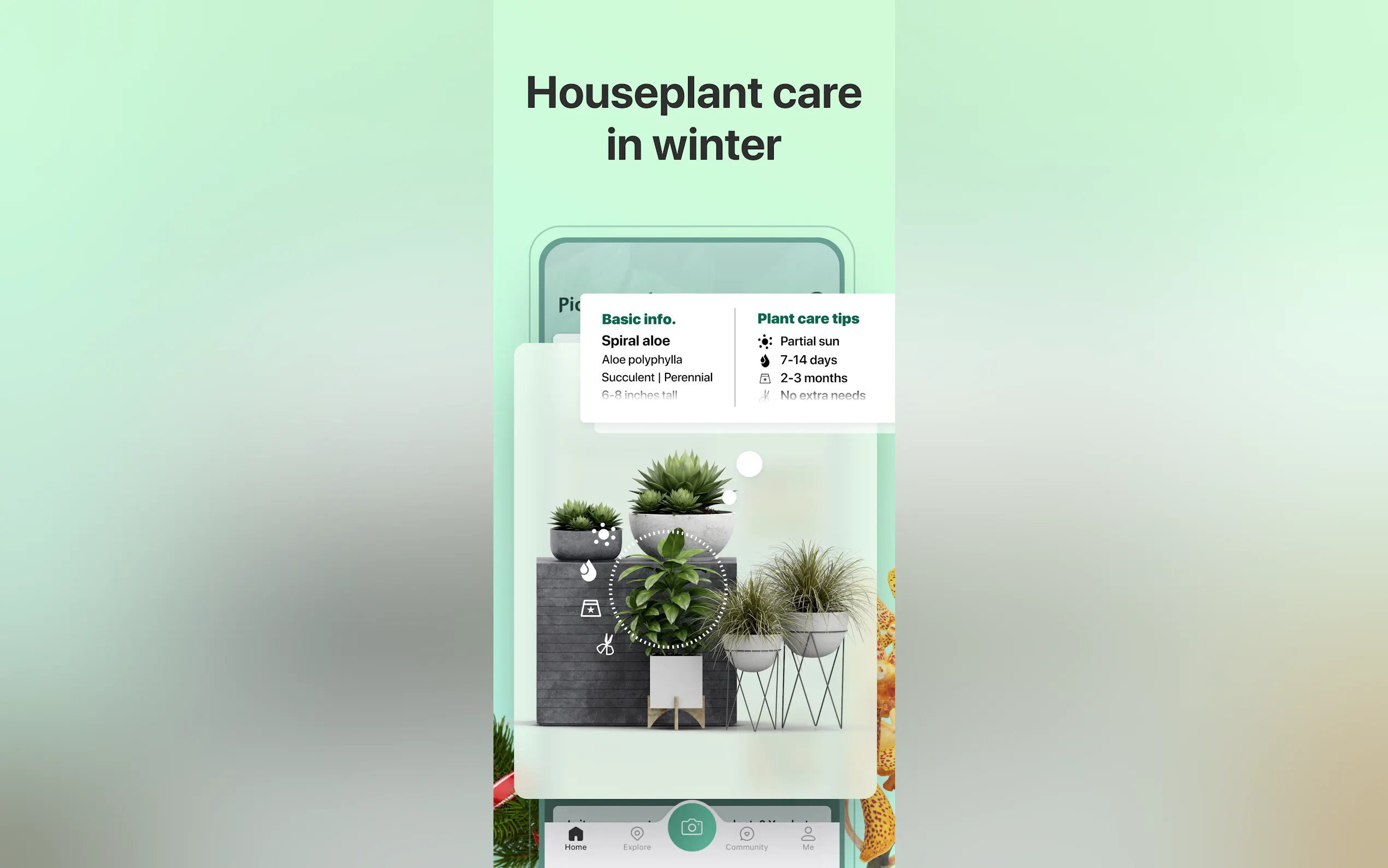 PictureThis gallery image