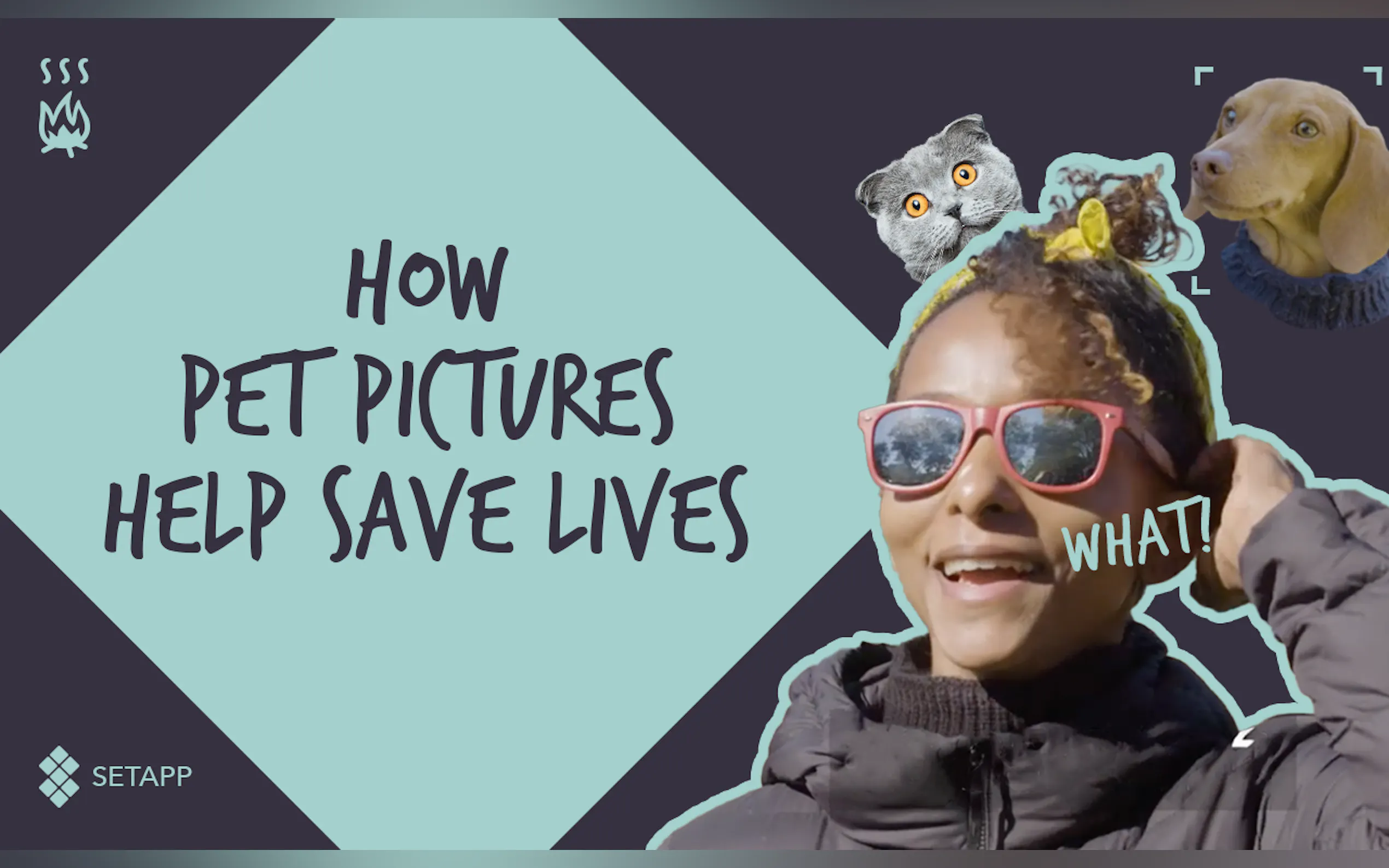 Setapp gallery image